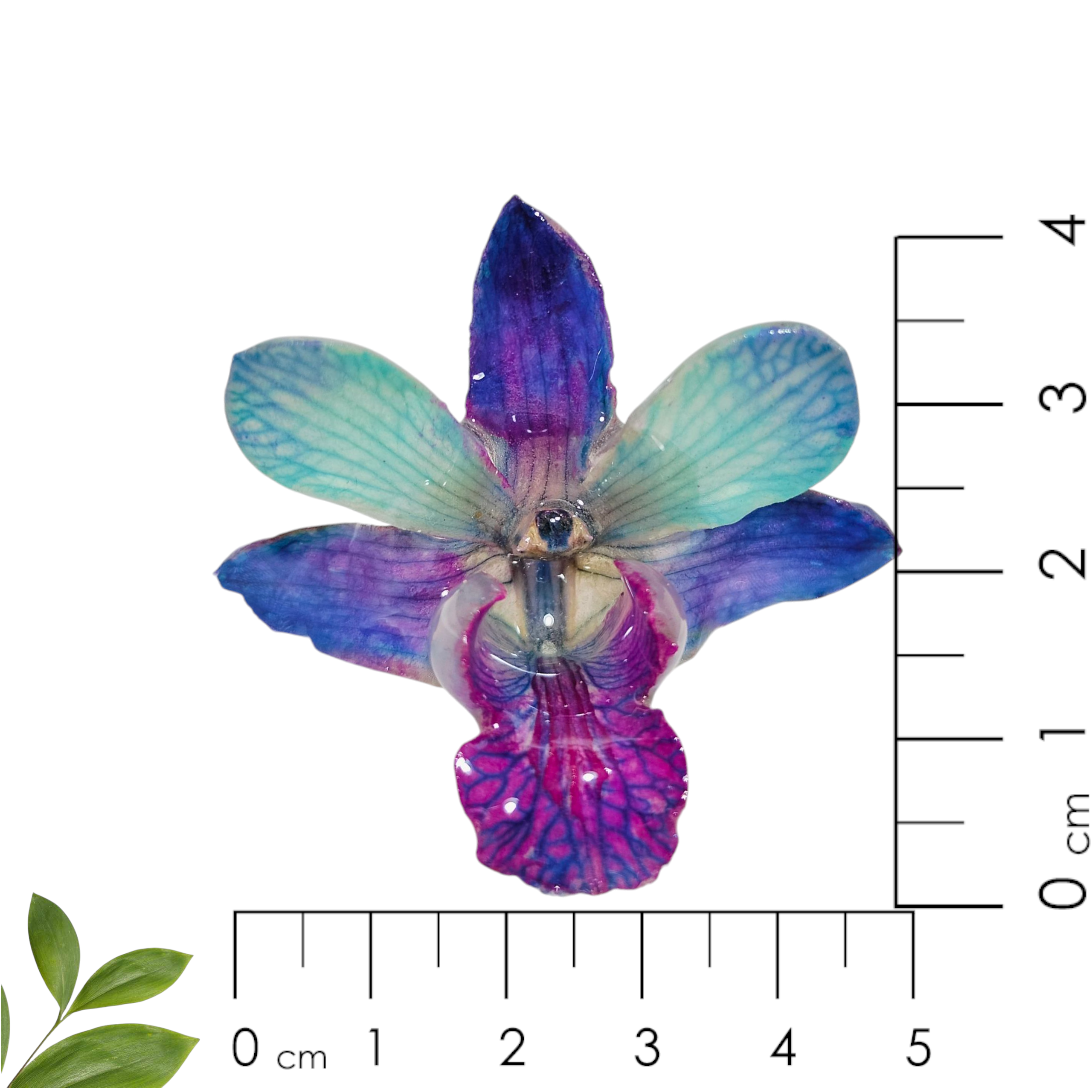 Anillo de Orquídea Morada con Azul