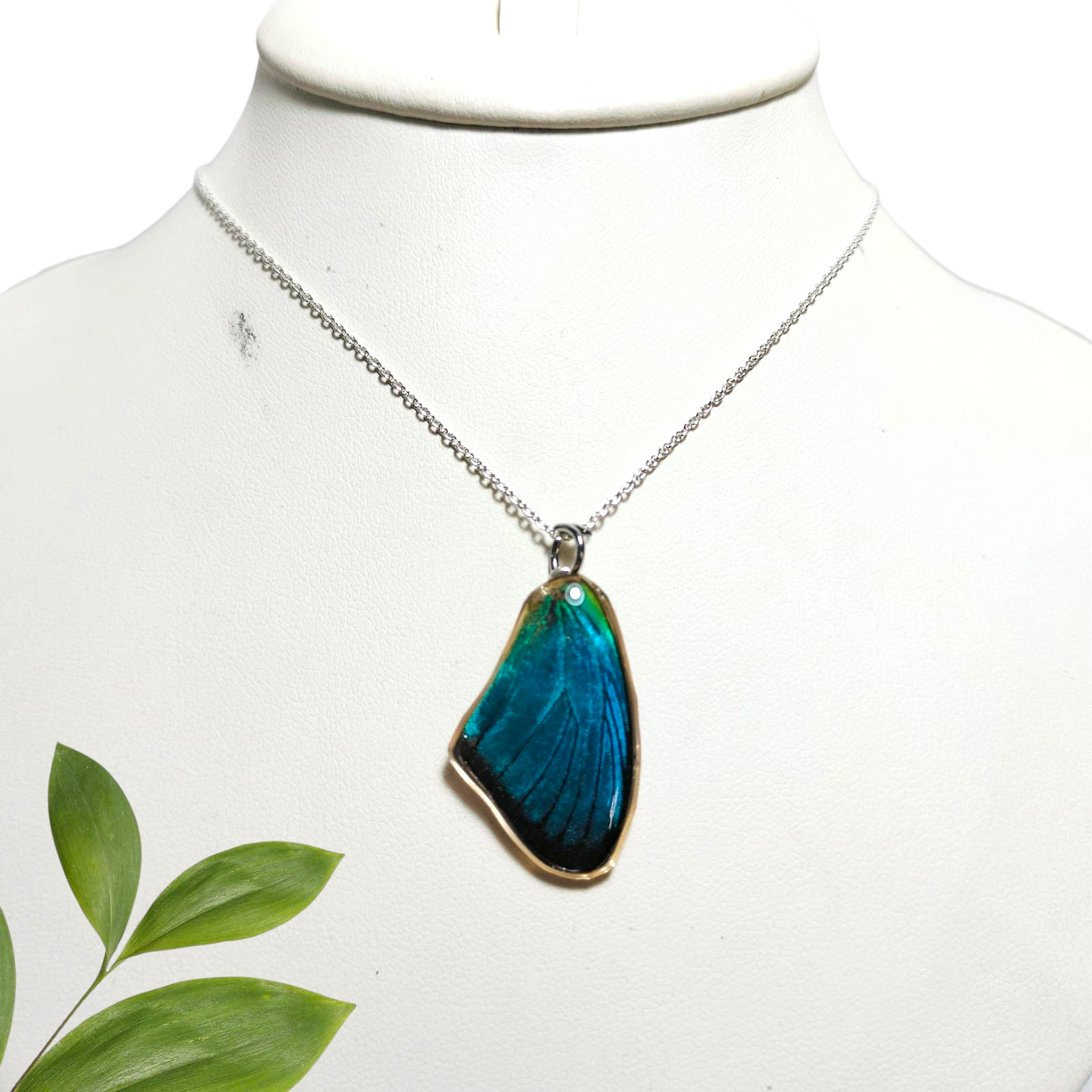 Ala de Mariposa Azul con Cadena de Plata