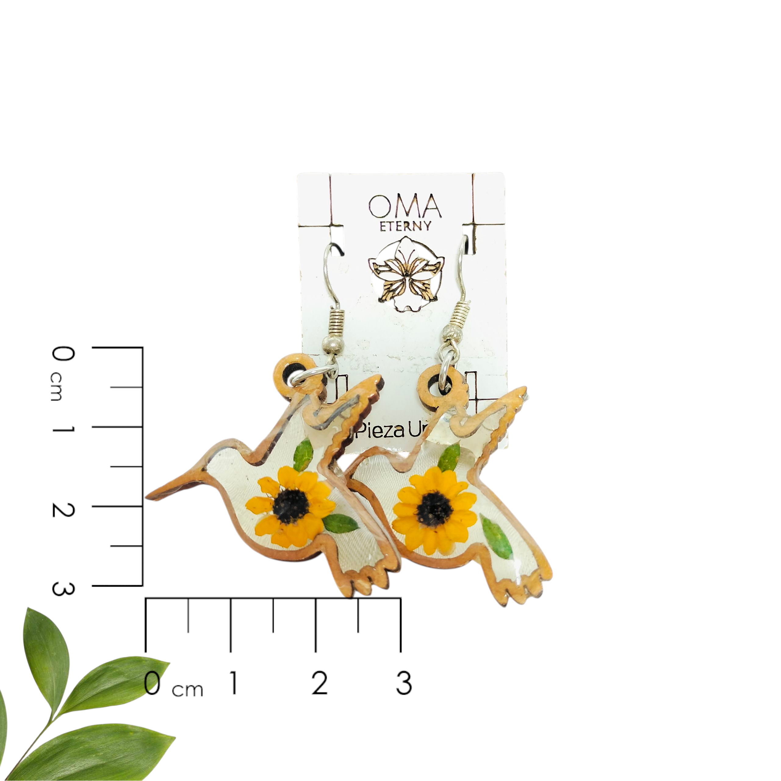 Aretes de Colibrí con Marco de Madera