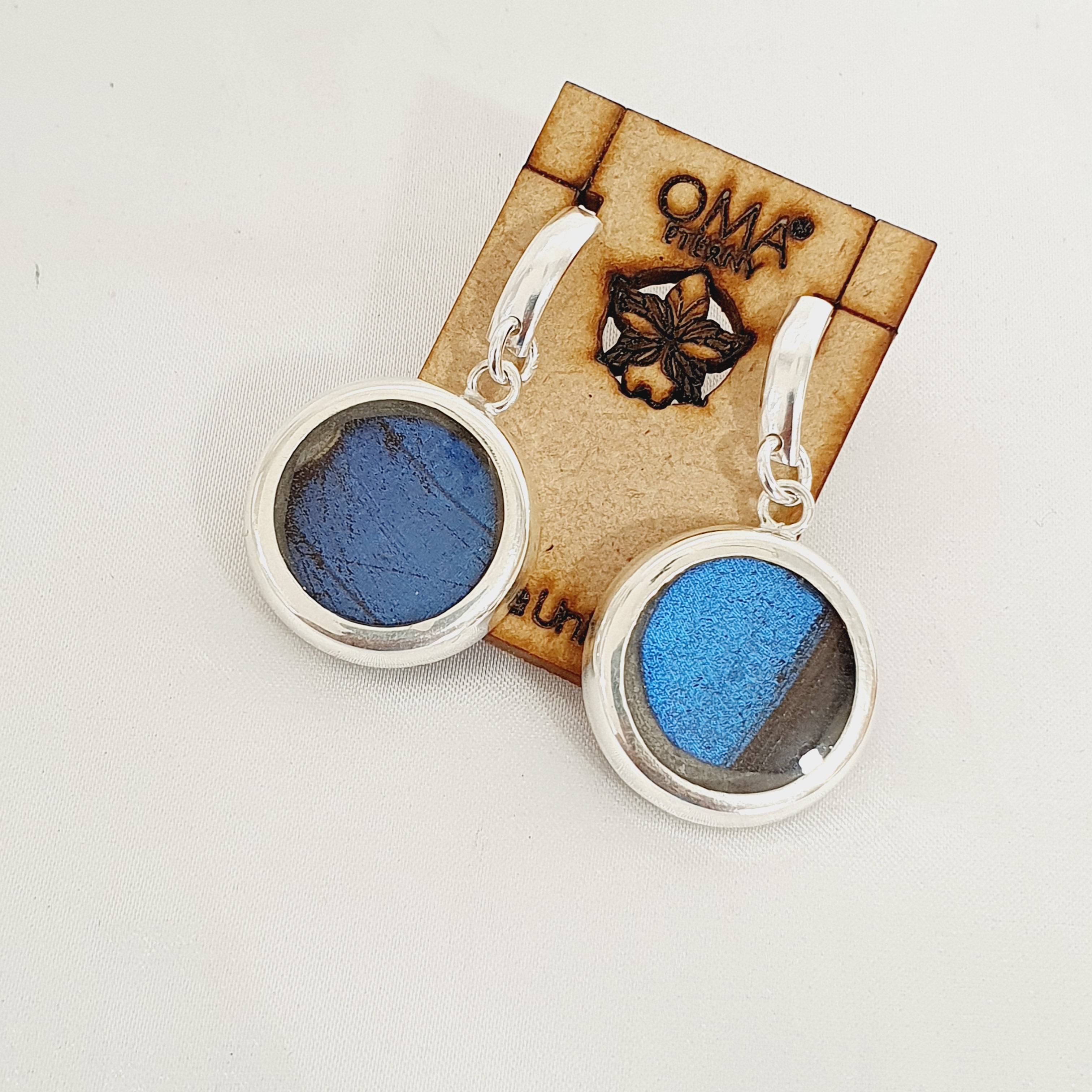 Aretes Fragmento de ala azul