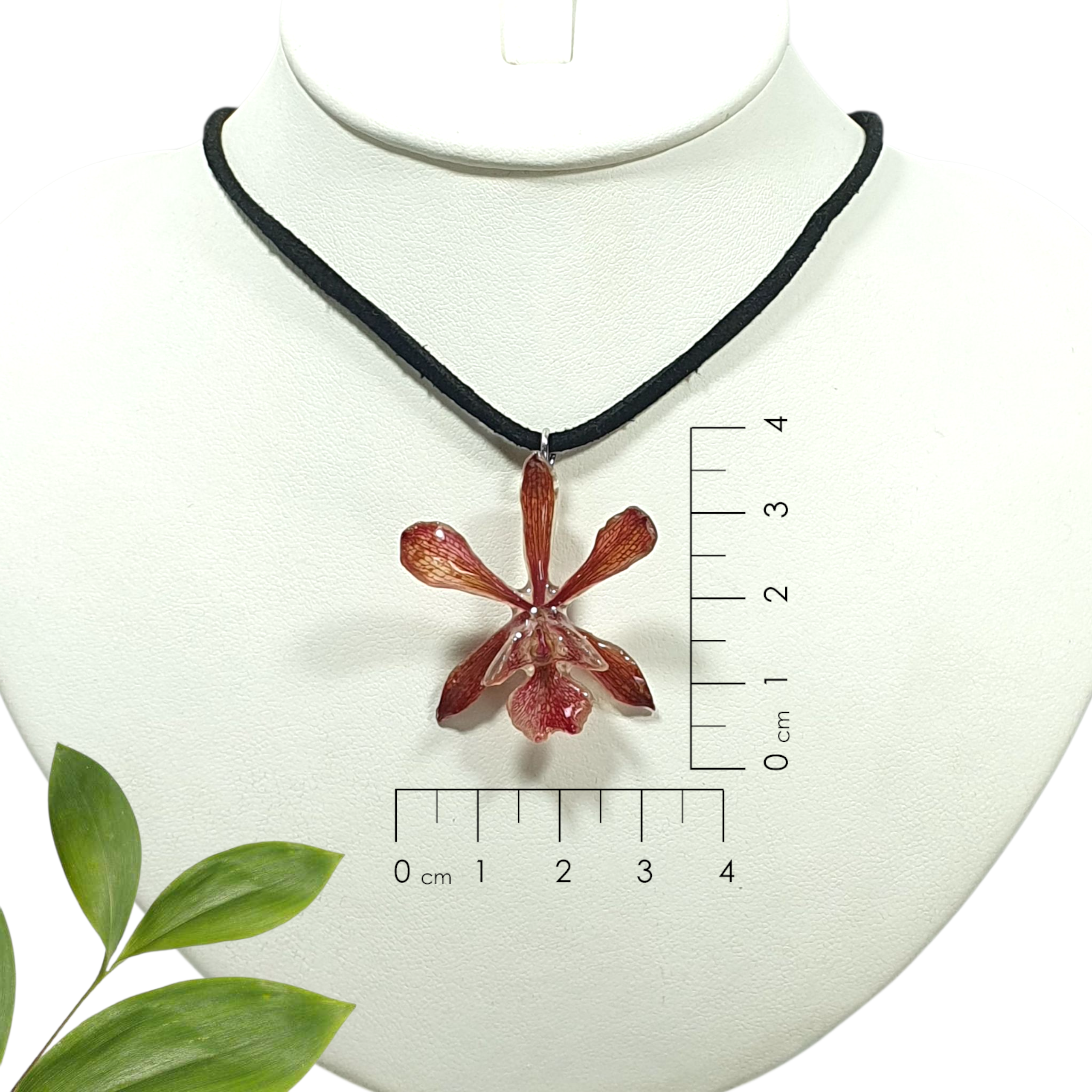 Orquidea Encyclia roja en collar de gamuza