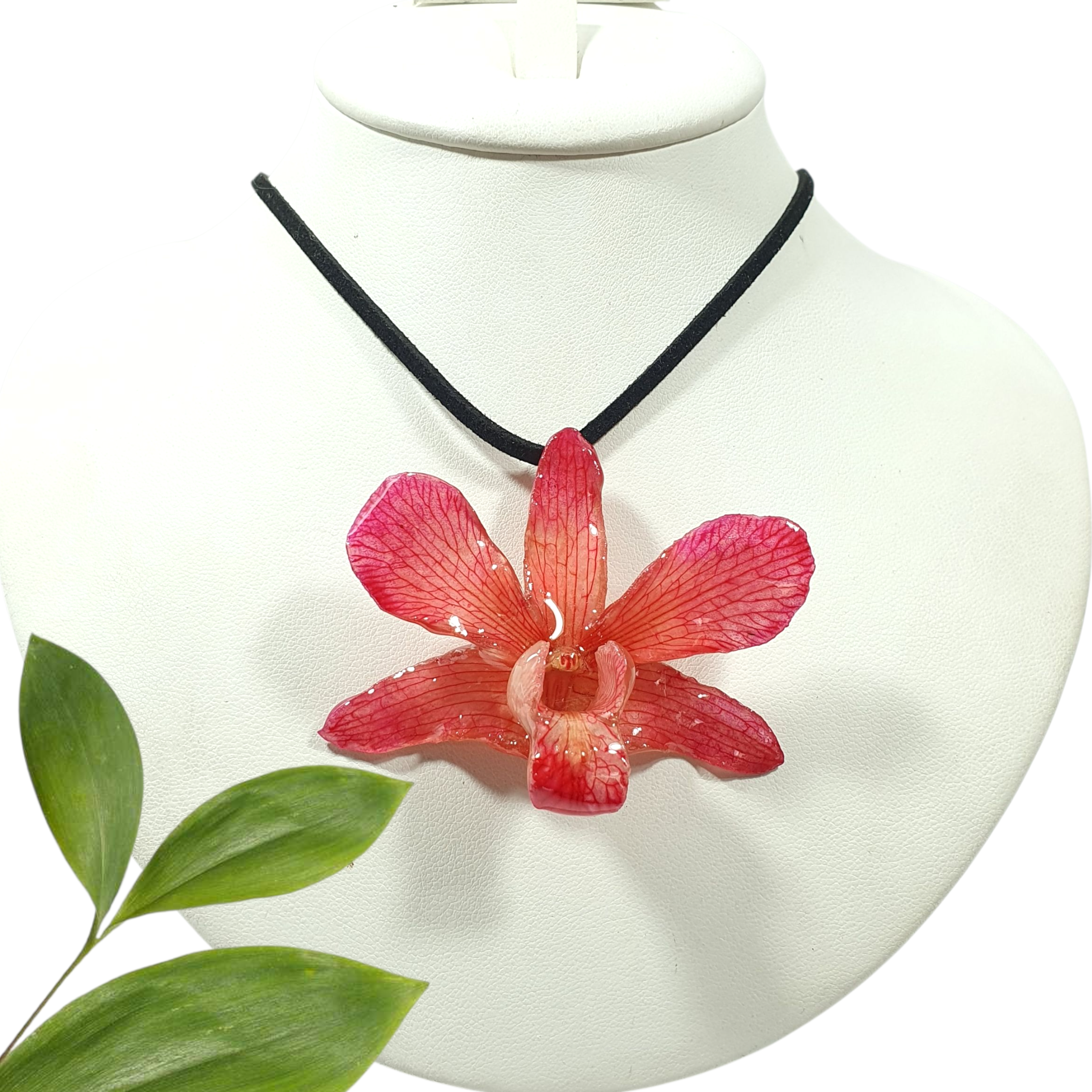 Dendrobium rosa con collar de gamuza