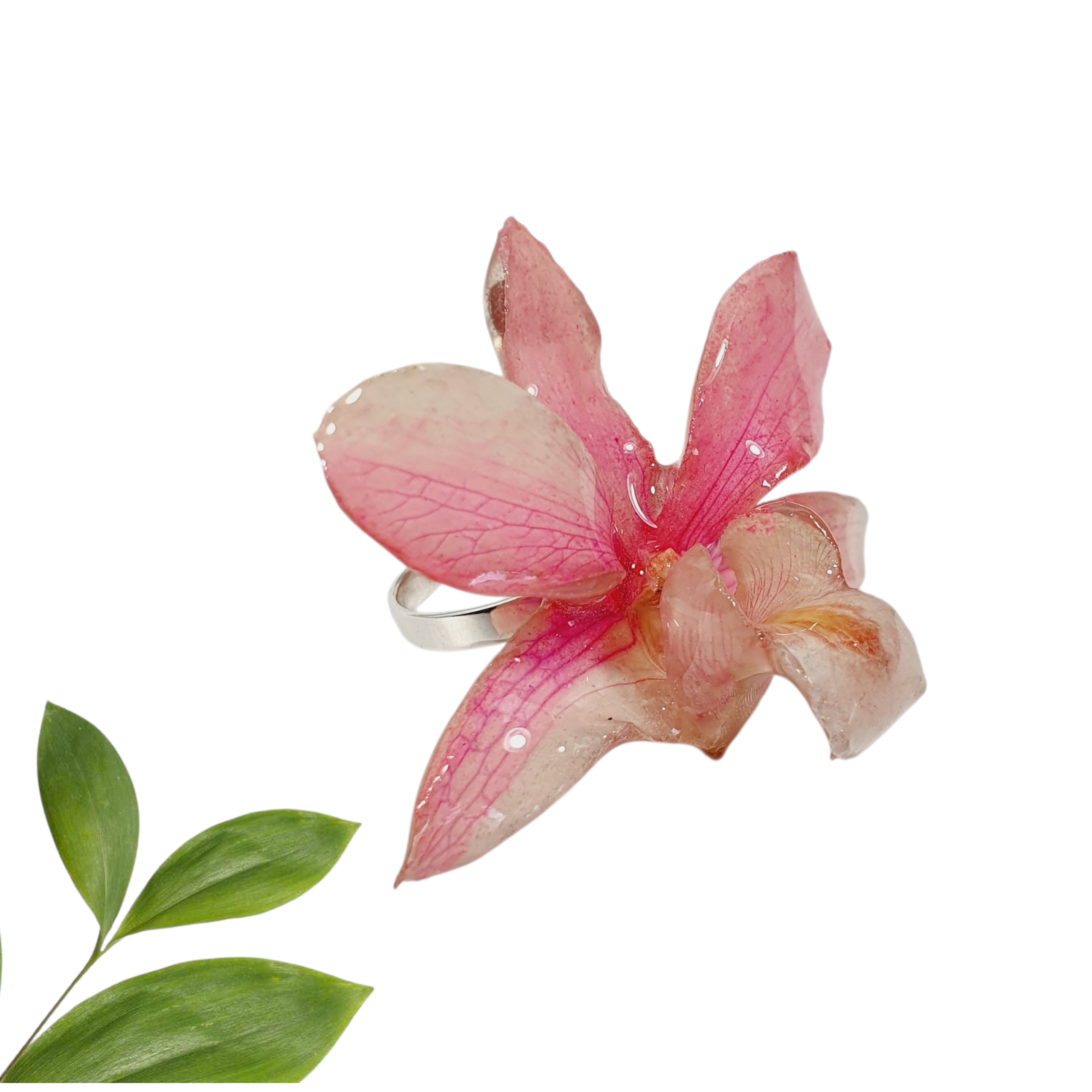 Anillo de Orquidea Dendrobium rosa