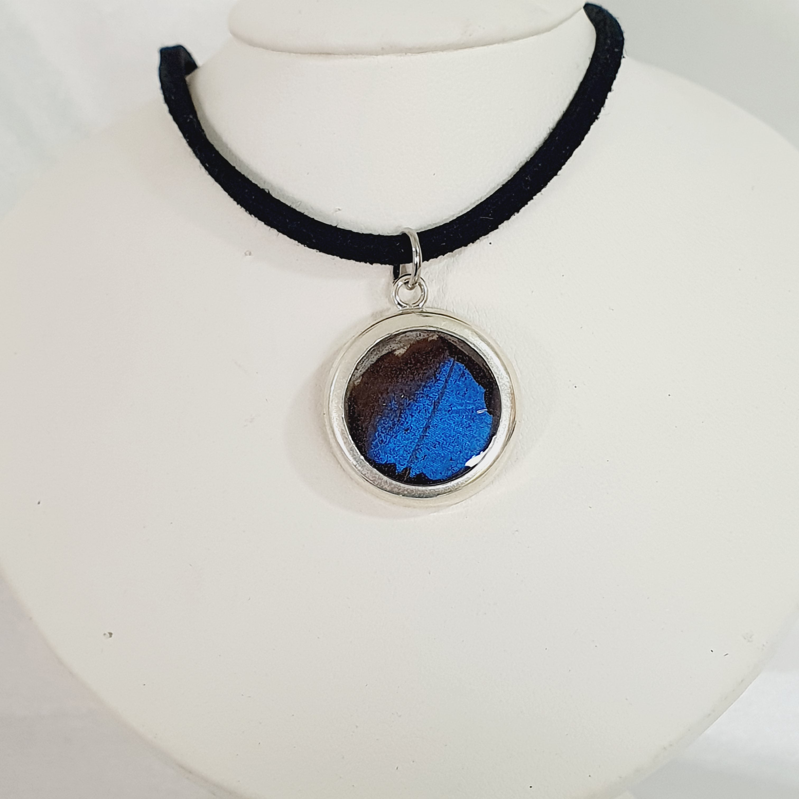 Fragmento de ala azul