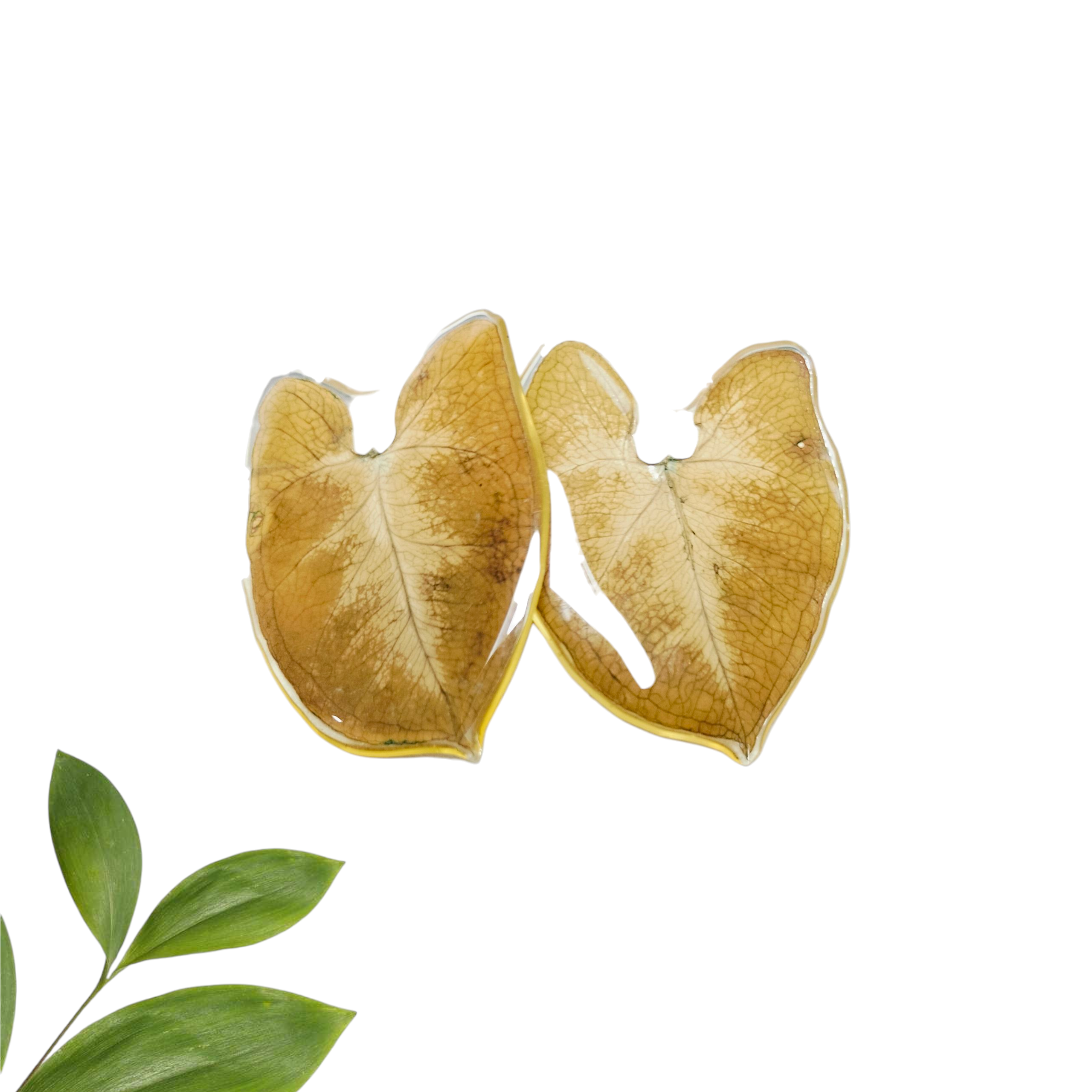 Aretes de Hojas verdes Medianas