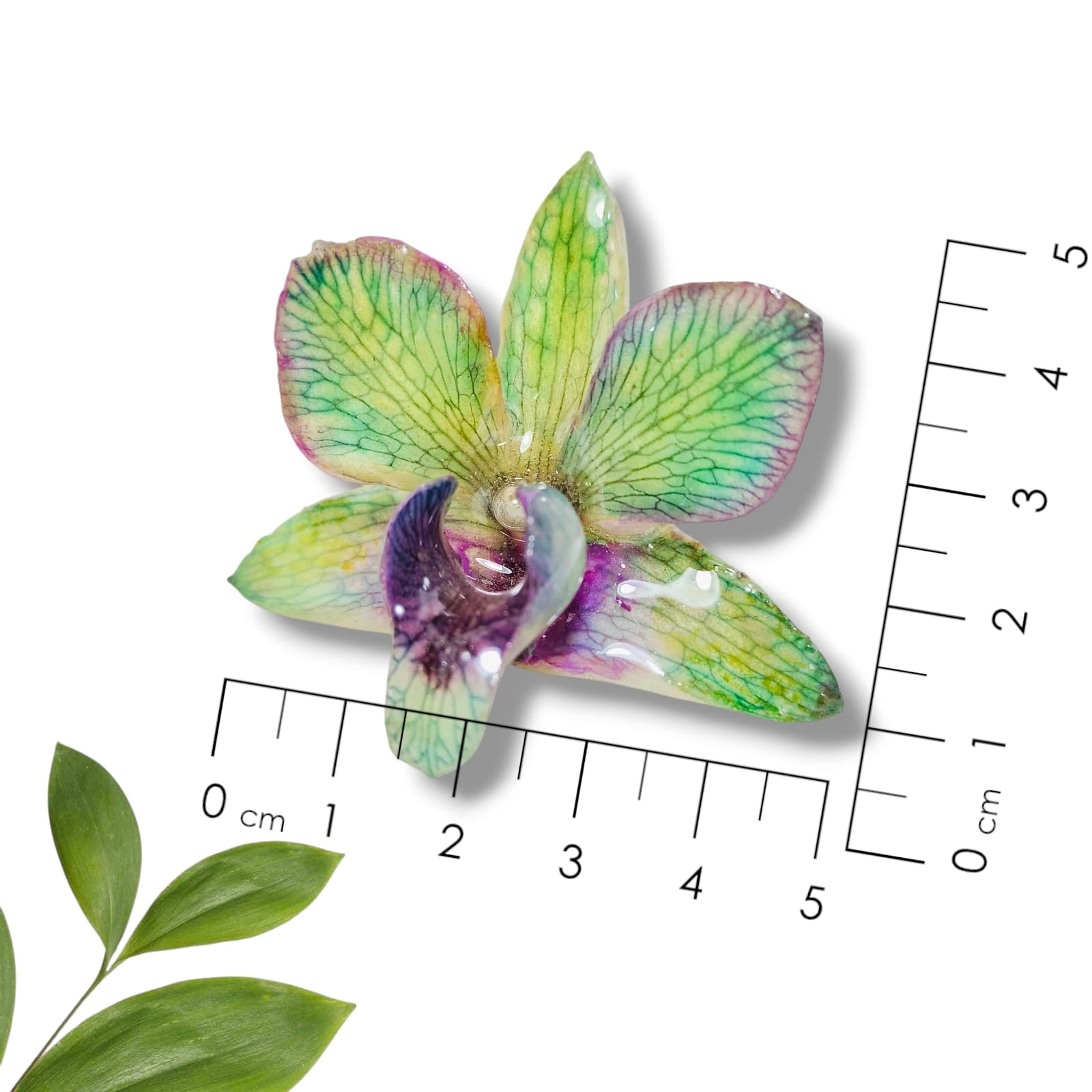 Anillo de Orquidea Verde