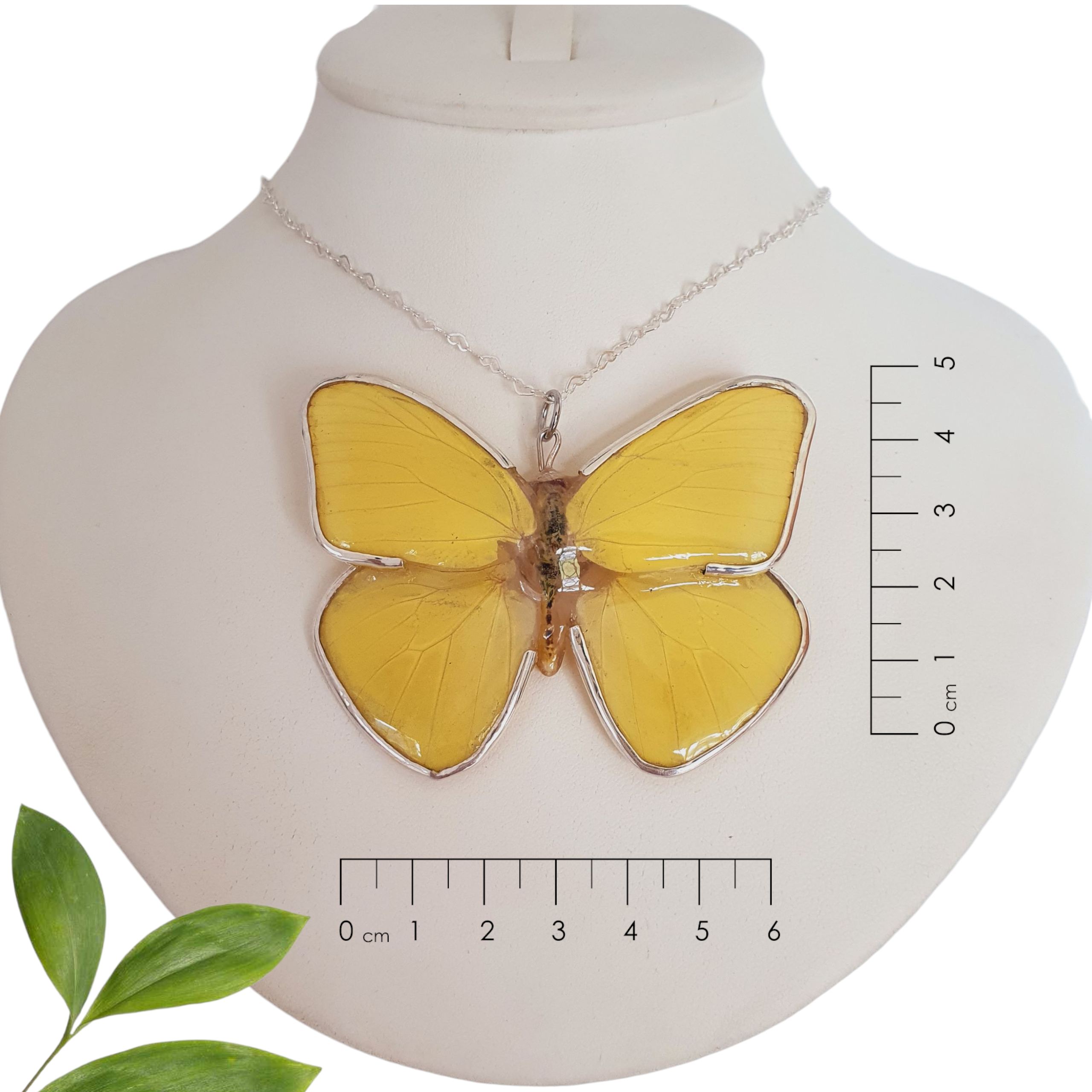Dije de mariposa phoebis