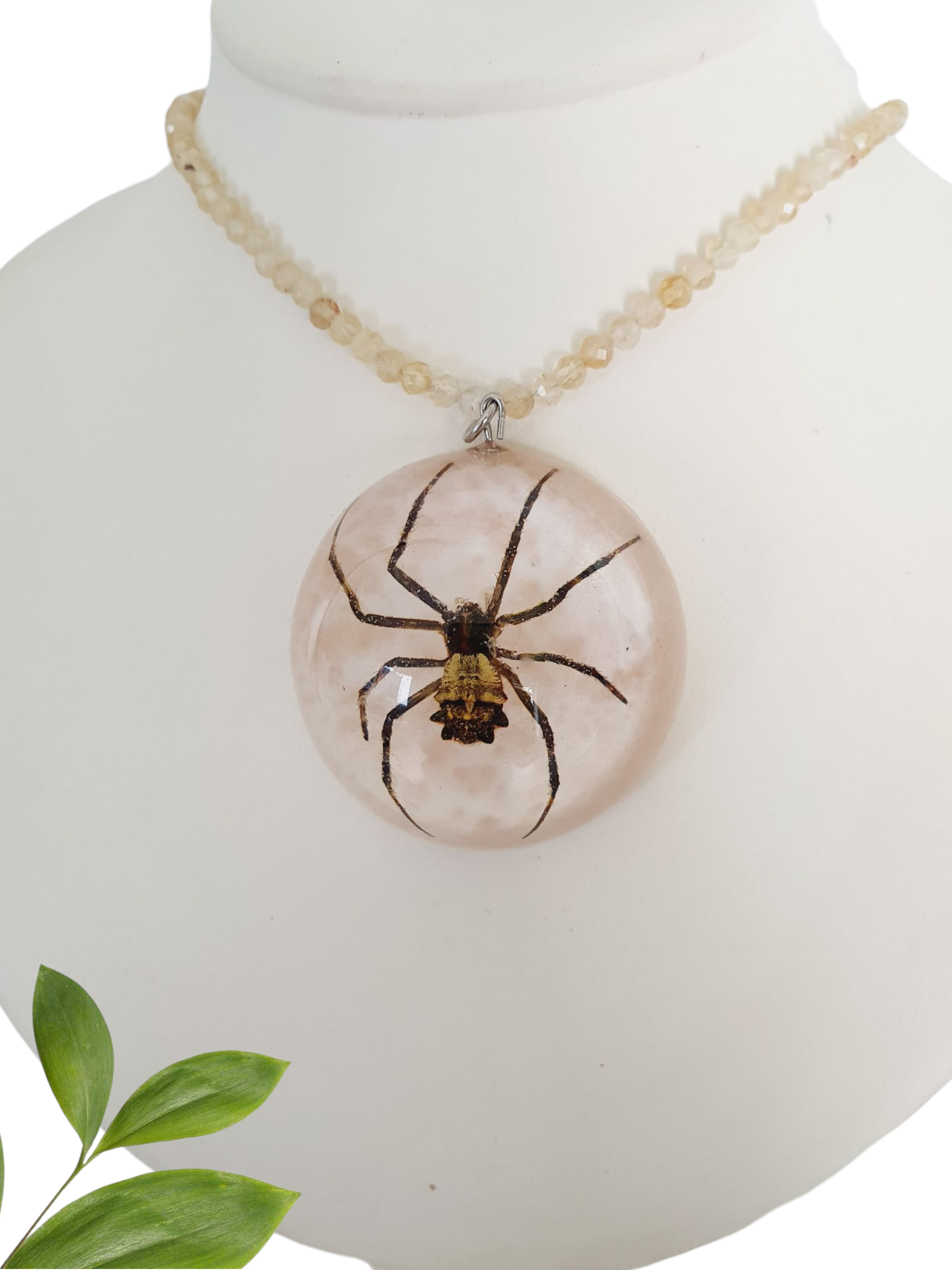 Collar de araña