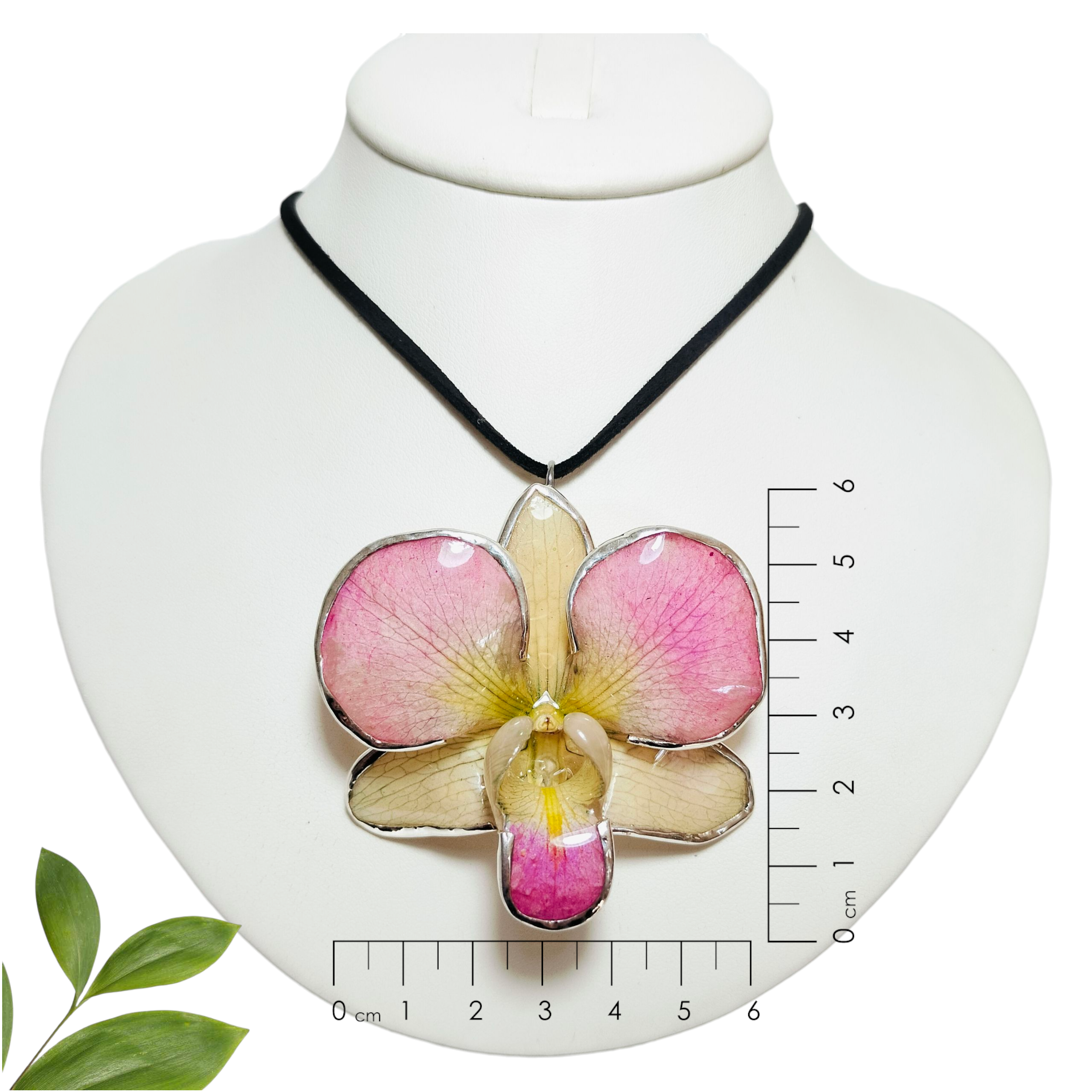 Orquídea Morada con Orilla de Plata