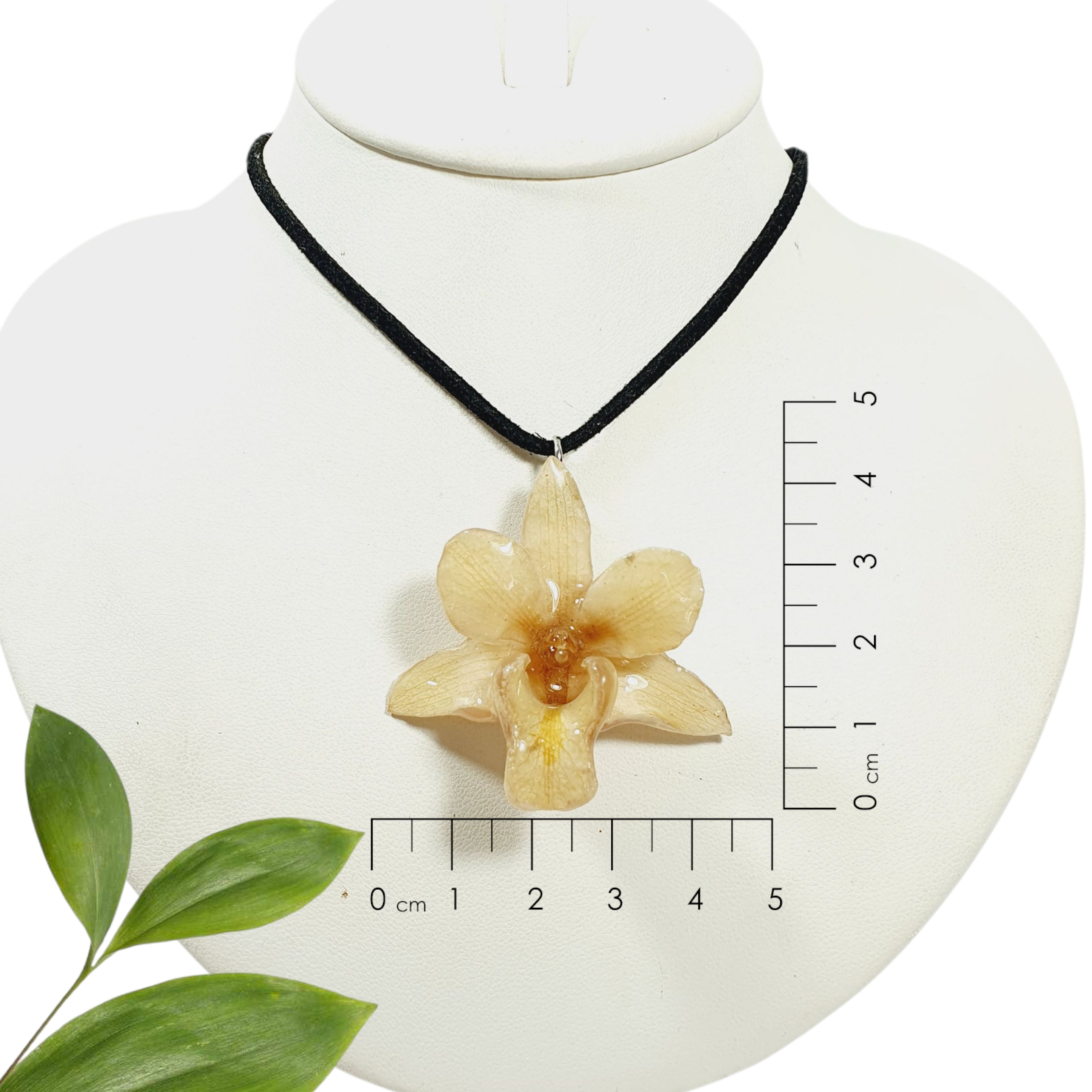 Dendrobium blanca con  collar de gamuza