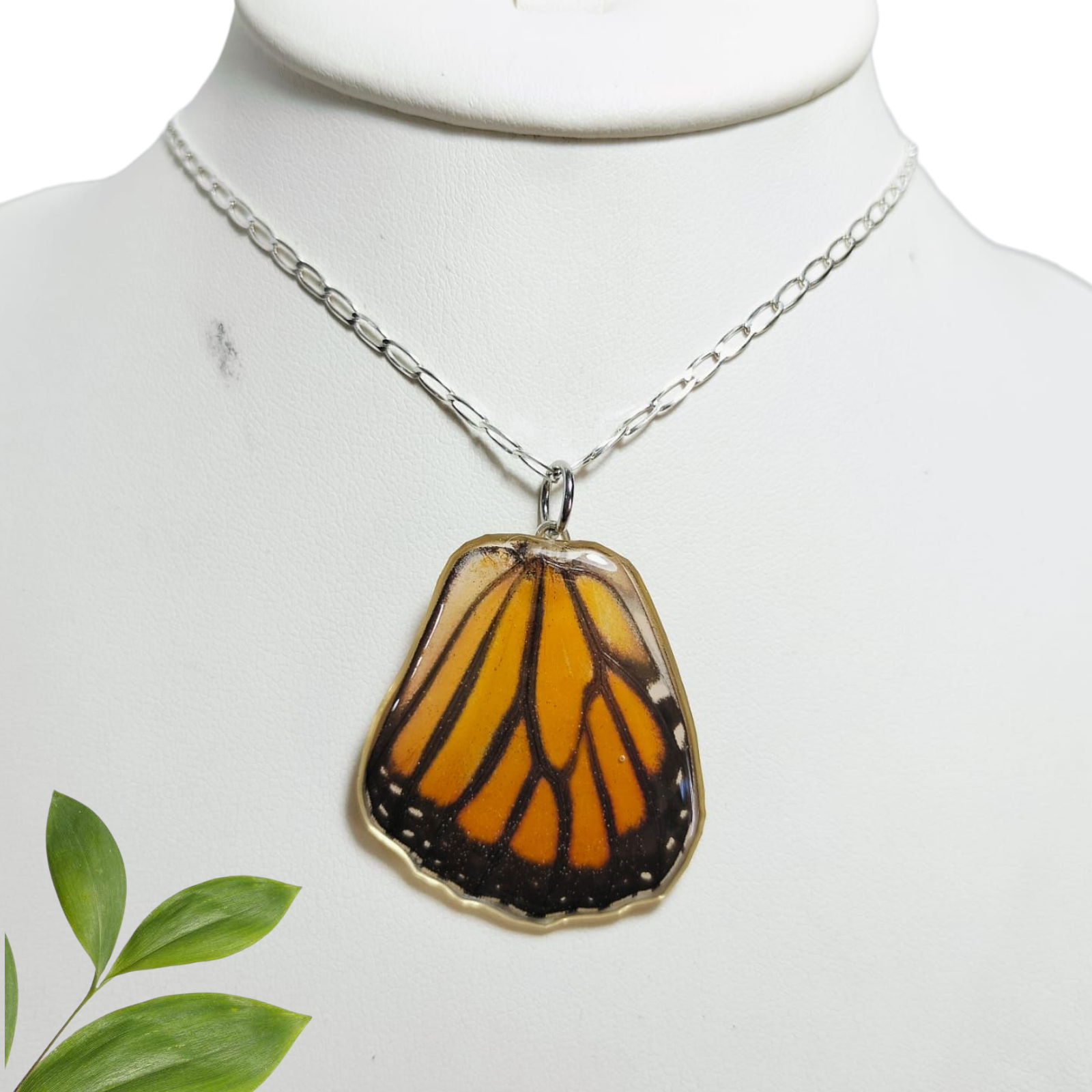 Ala de Mariposa Monarca con cadena de plata