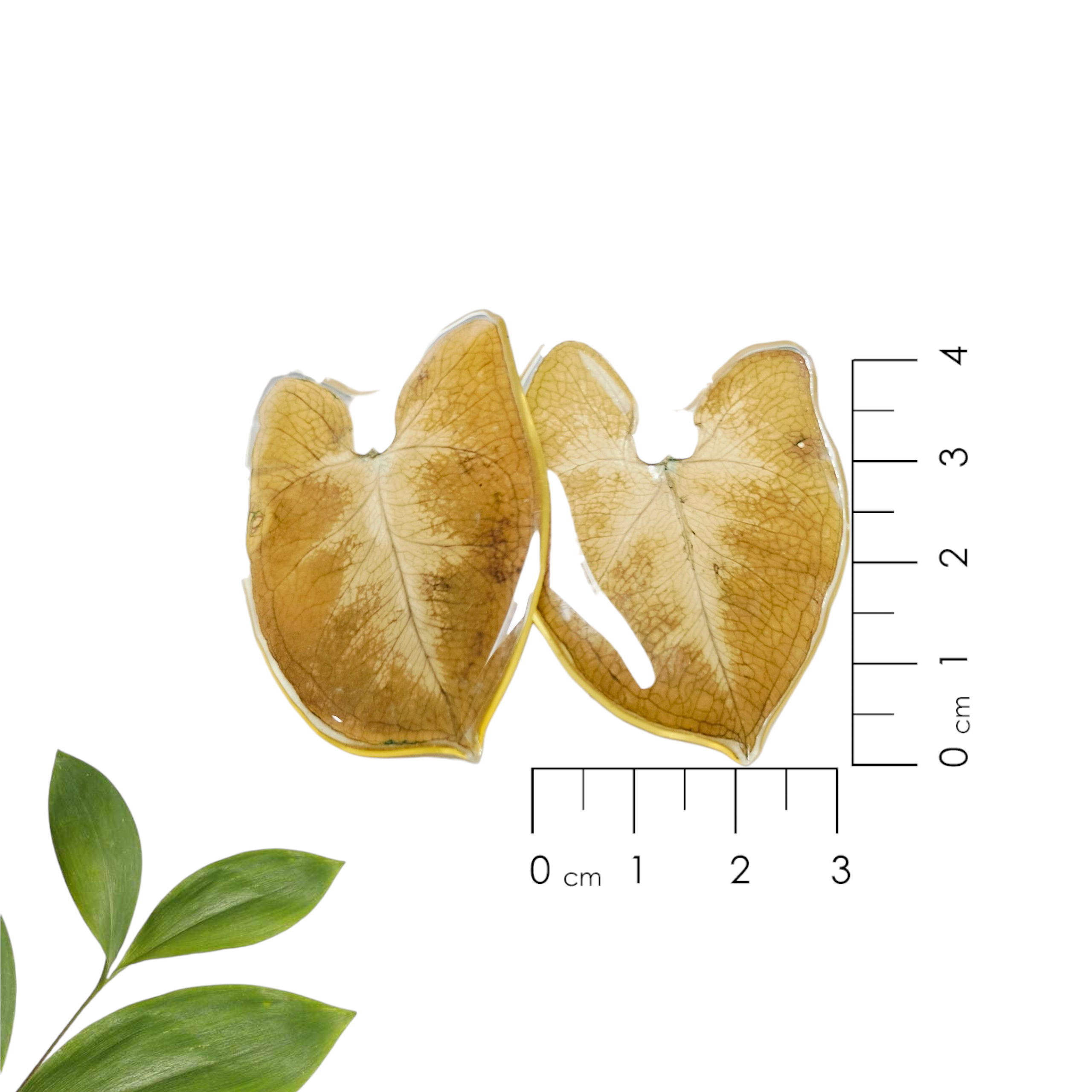 Aretes de Hojas verdes Medianas