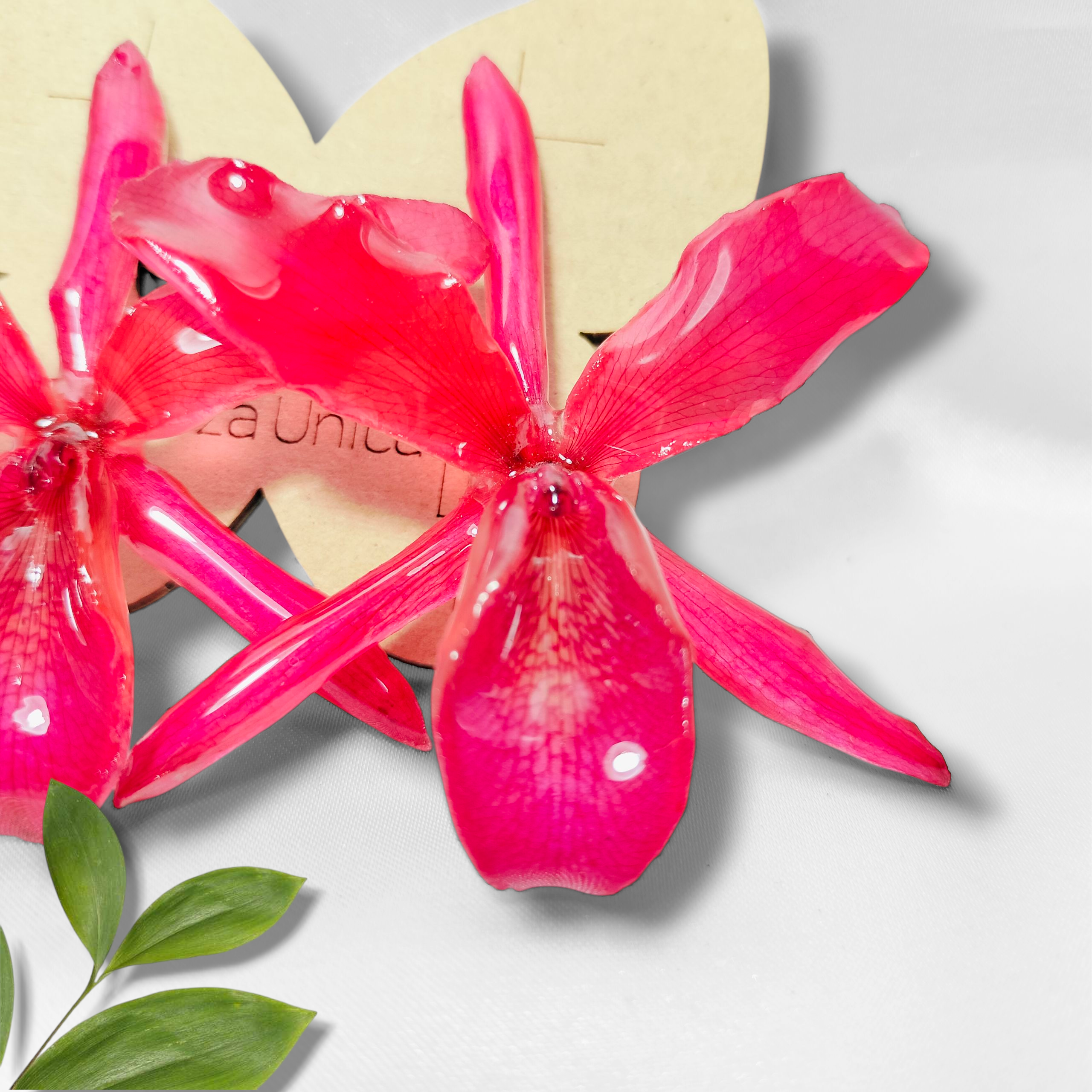 Orquídeas Rosas