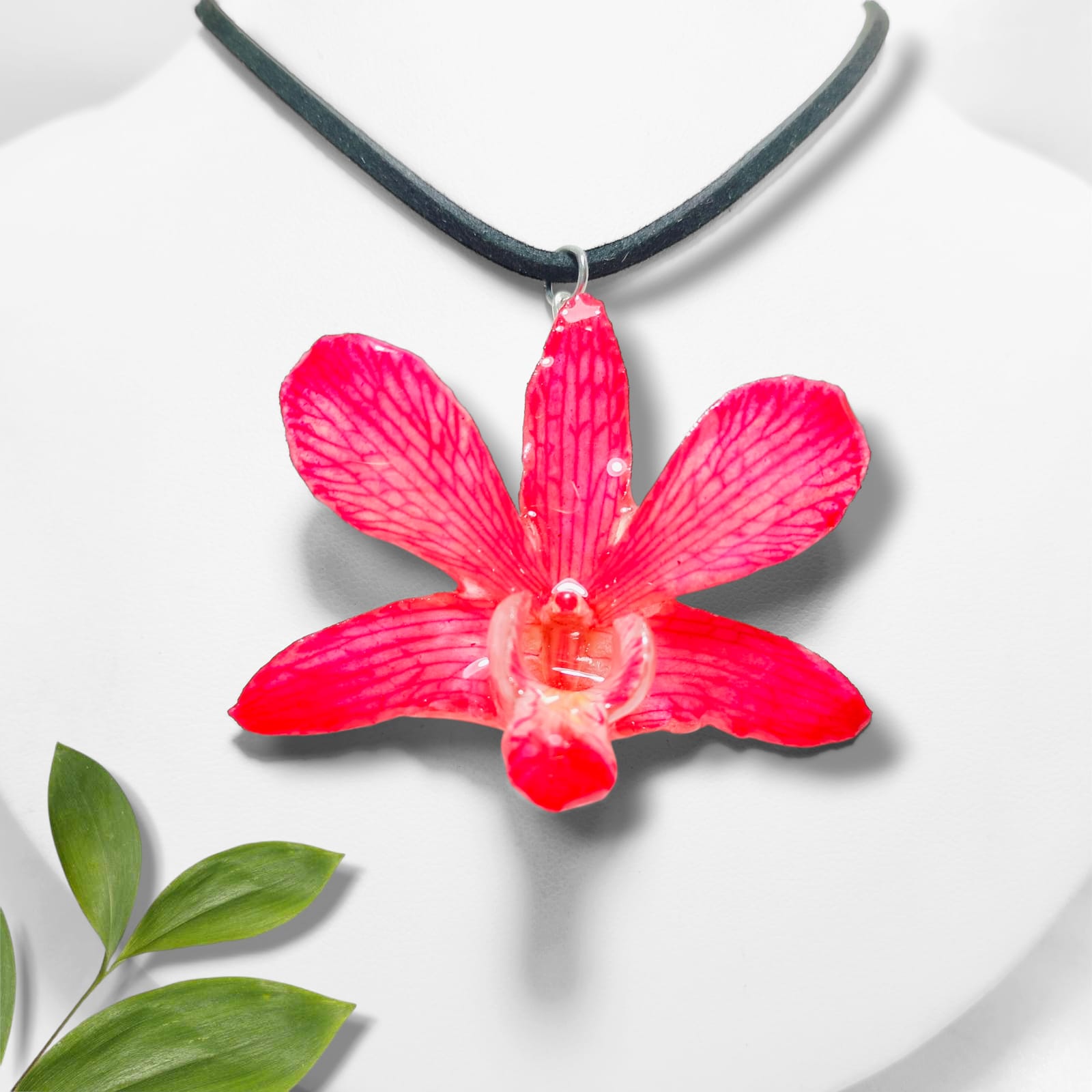 Orquídea Rosa