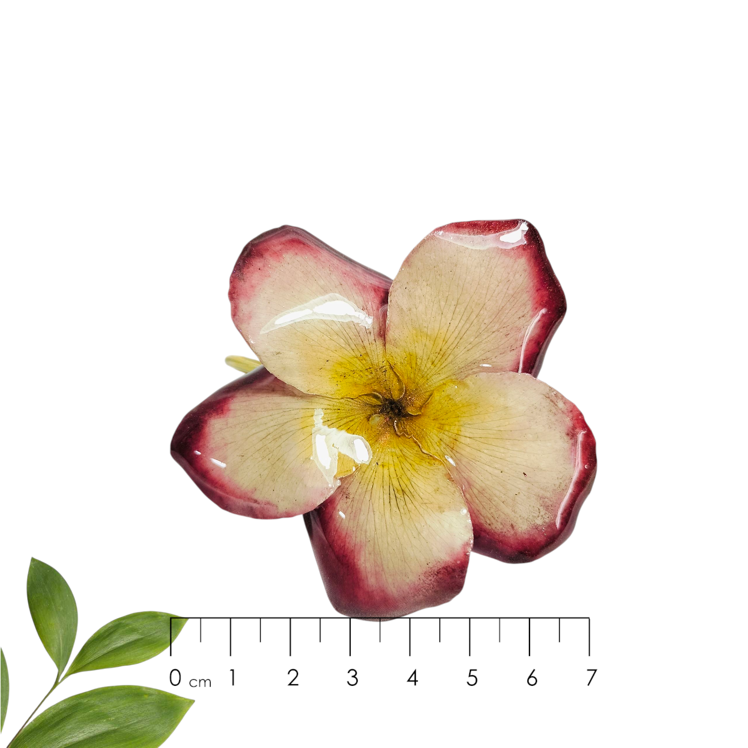 Brazalete de Flor de Mayo