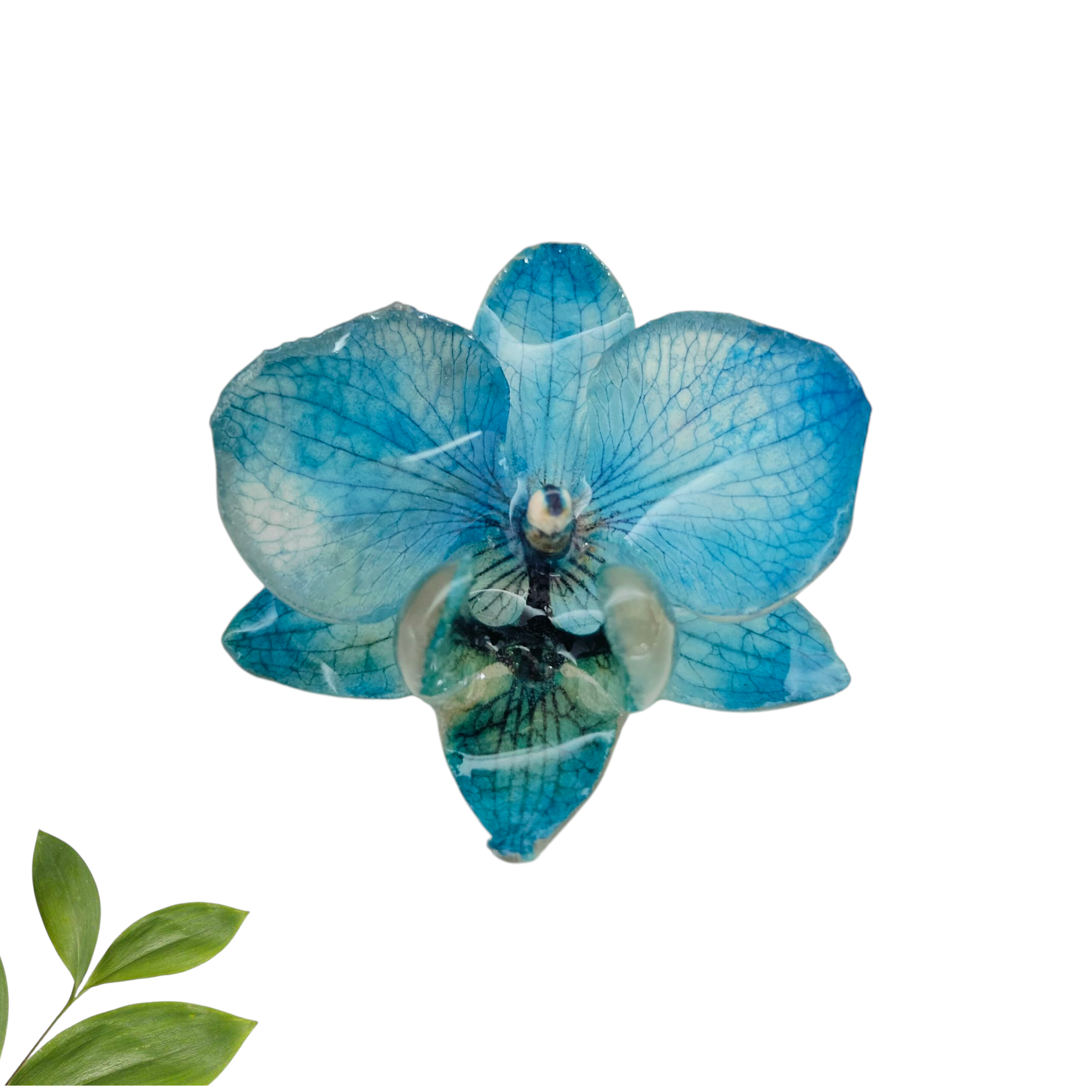 Anillo de Orquídea Azul