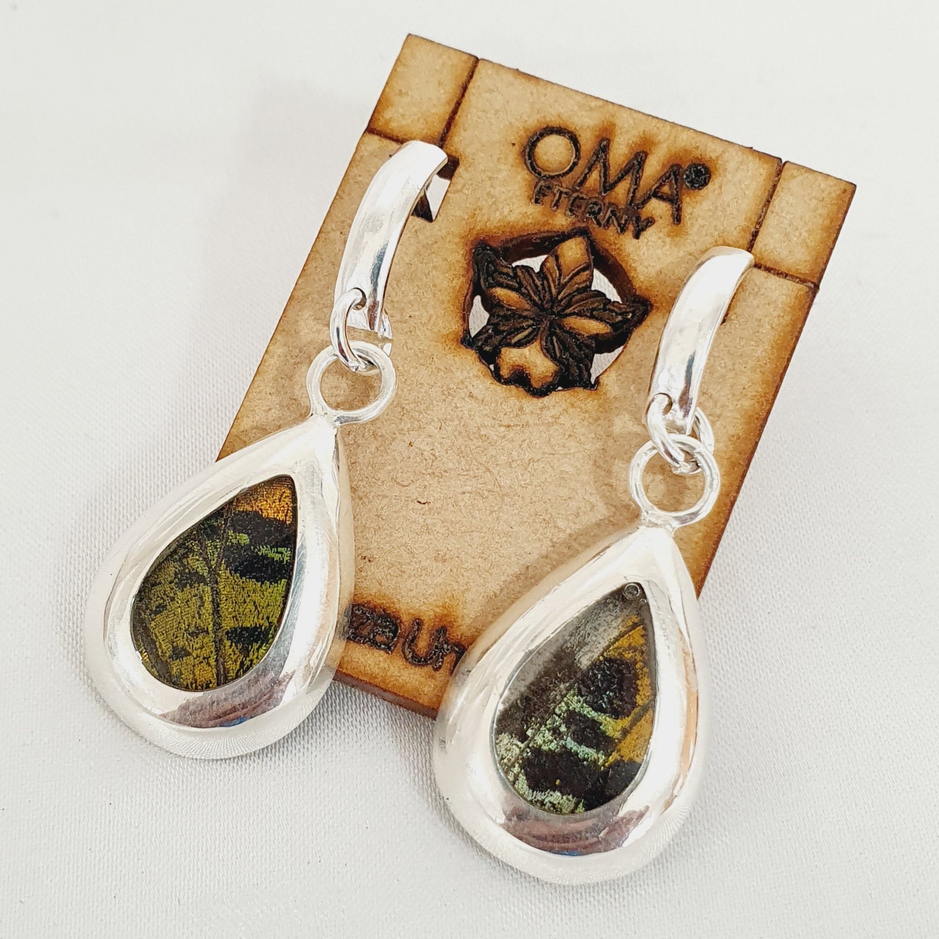 Aretes Fragmento de ala