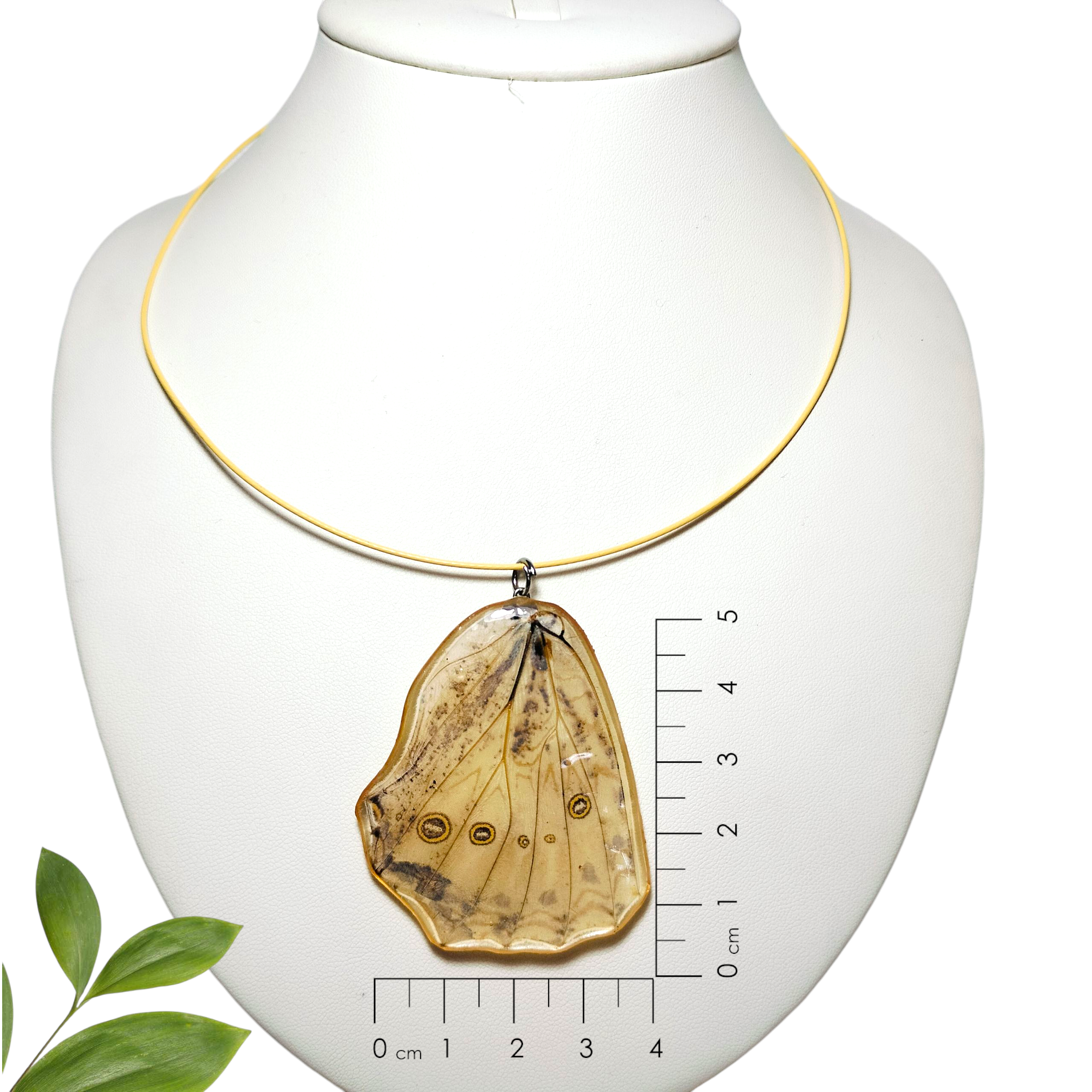 Ala de Mariposa Beige