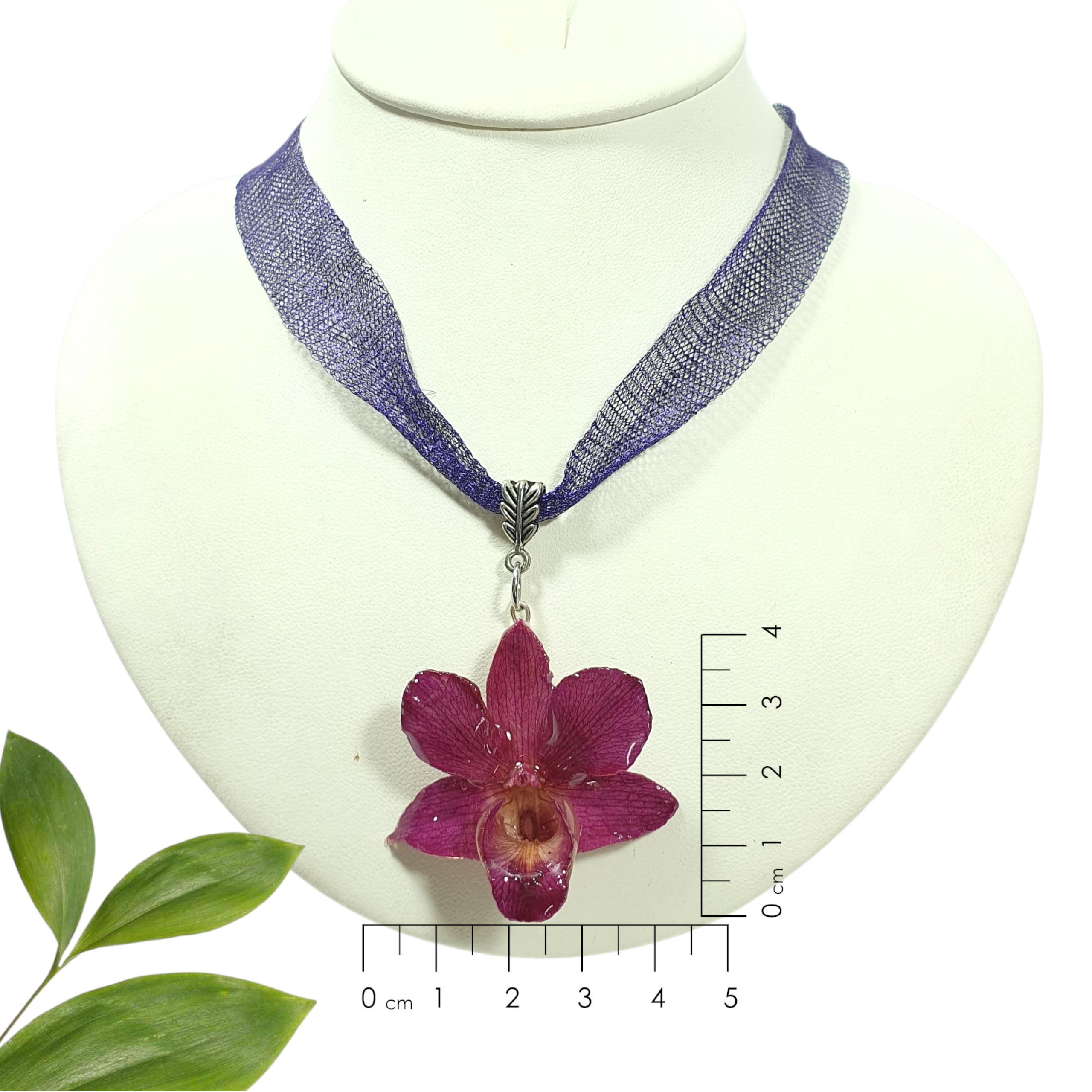 Dendrobium morada con collar de malla titanio