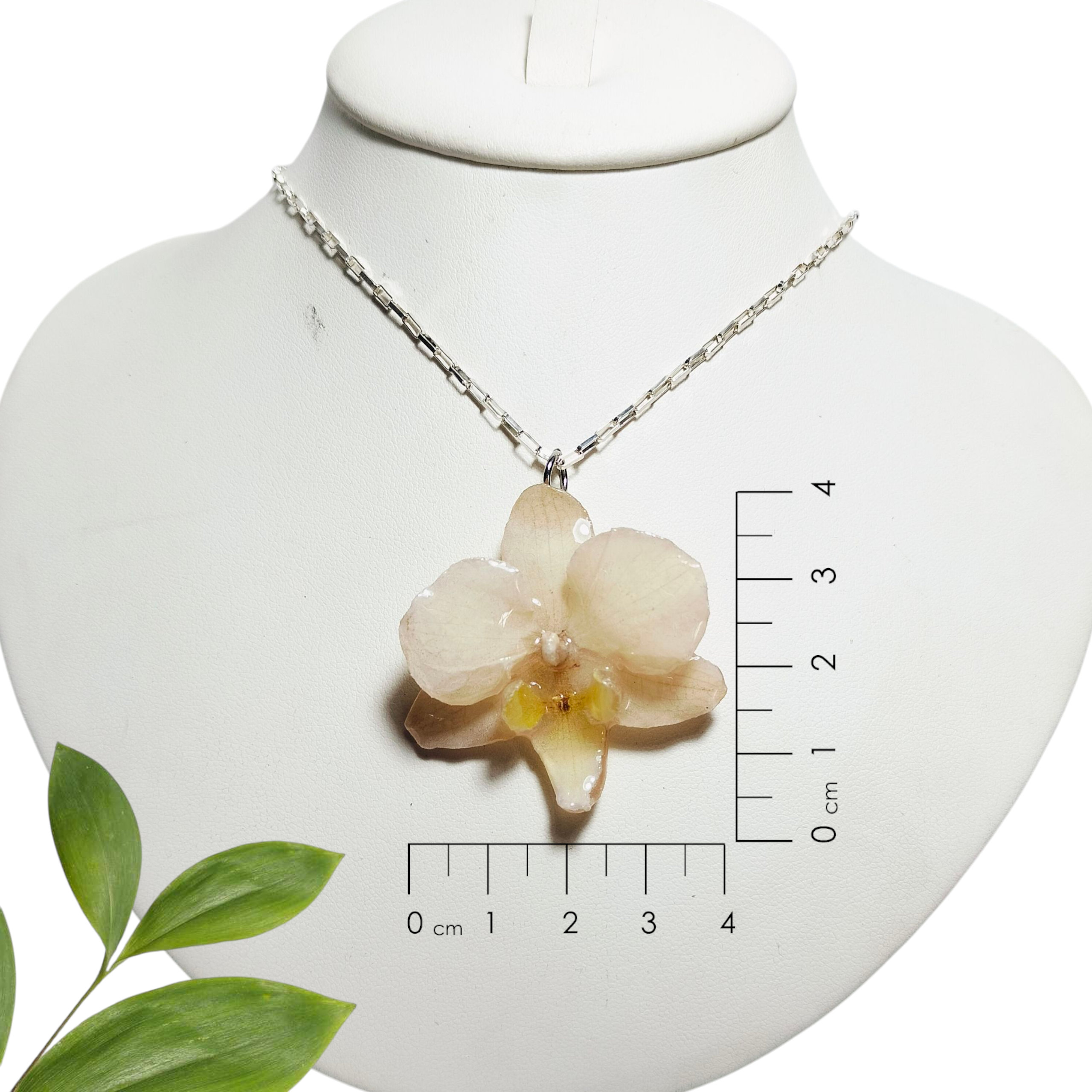 Orquídea Blanca con Cadena de Plata