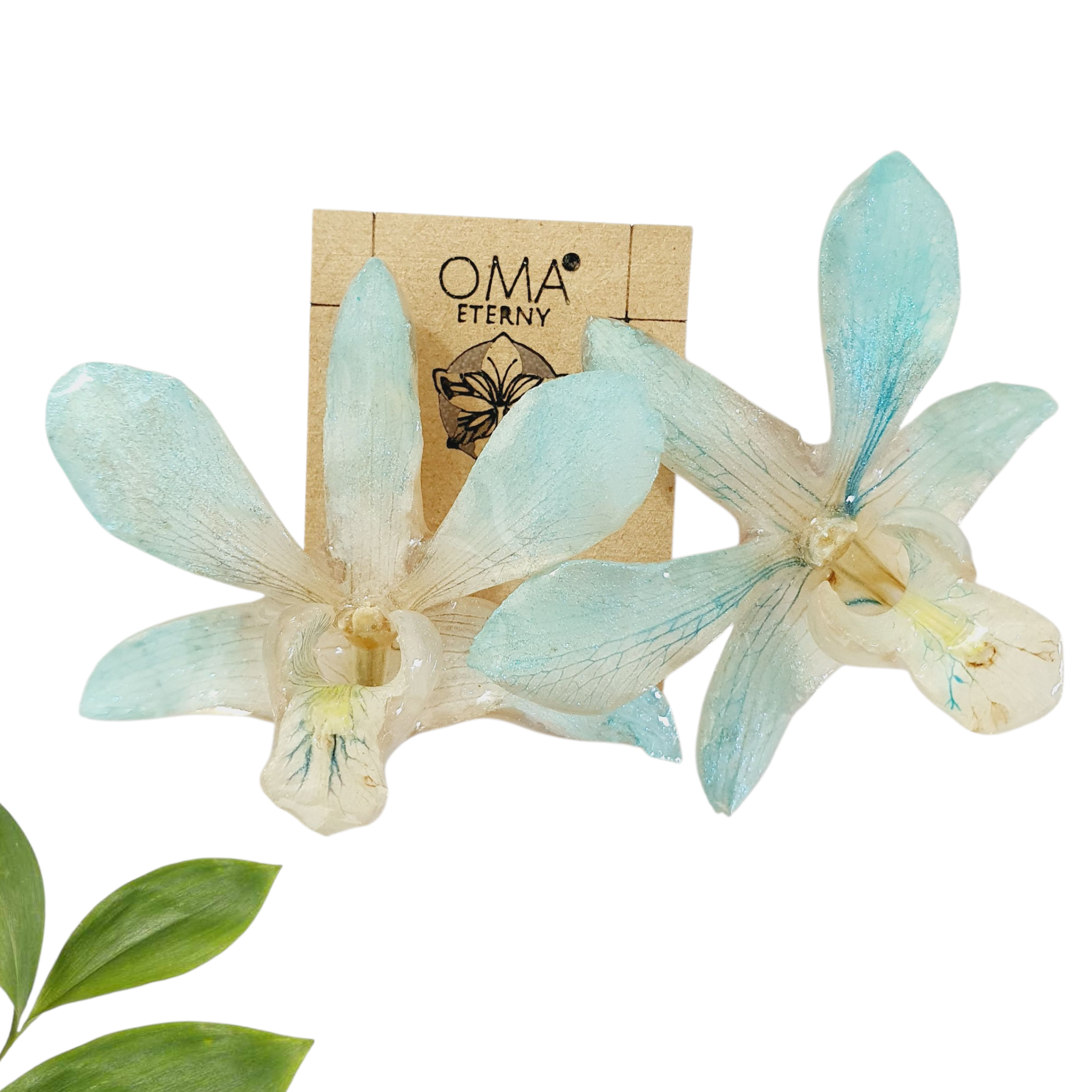 Orquídeas Azul cielo