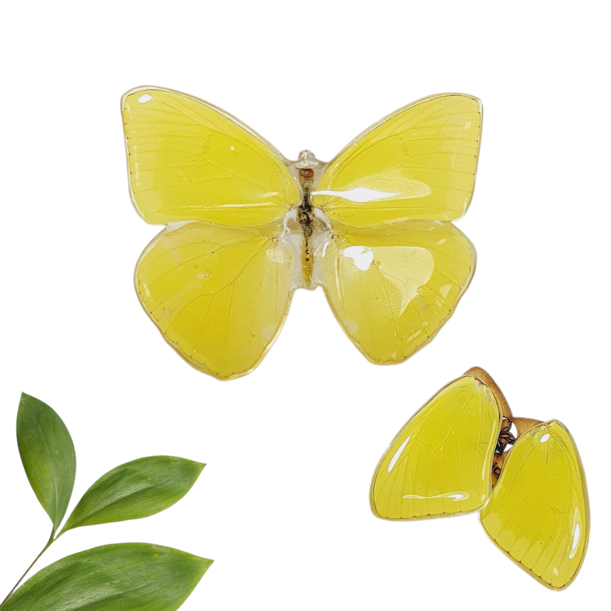 Anillo y aretes de mariposa amarilla