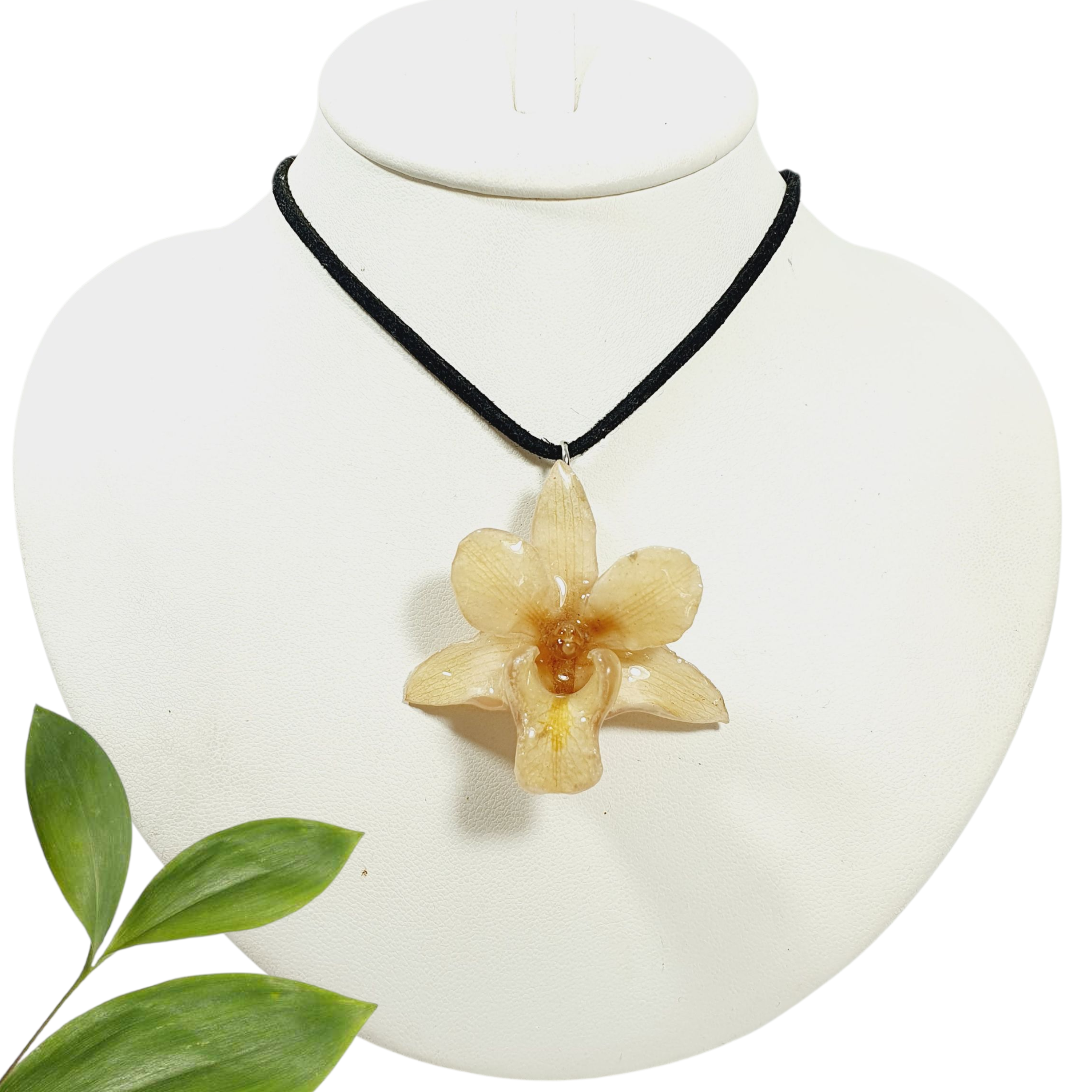 Dendrobium blanca con  collar de gamuza