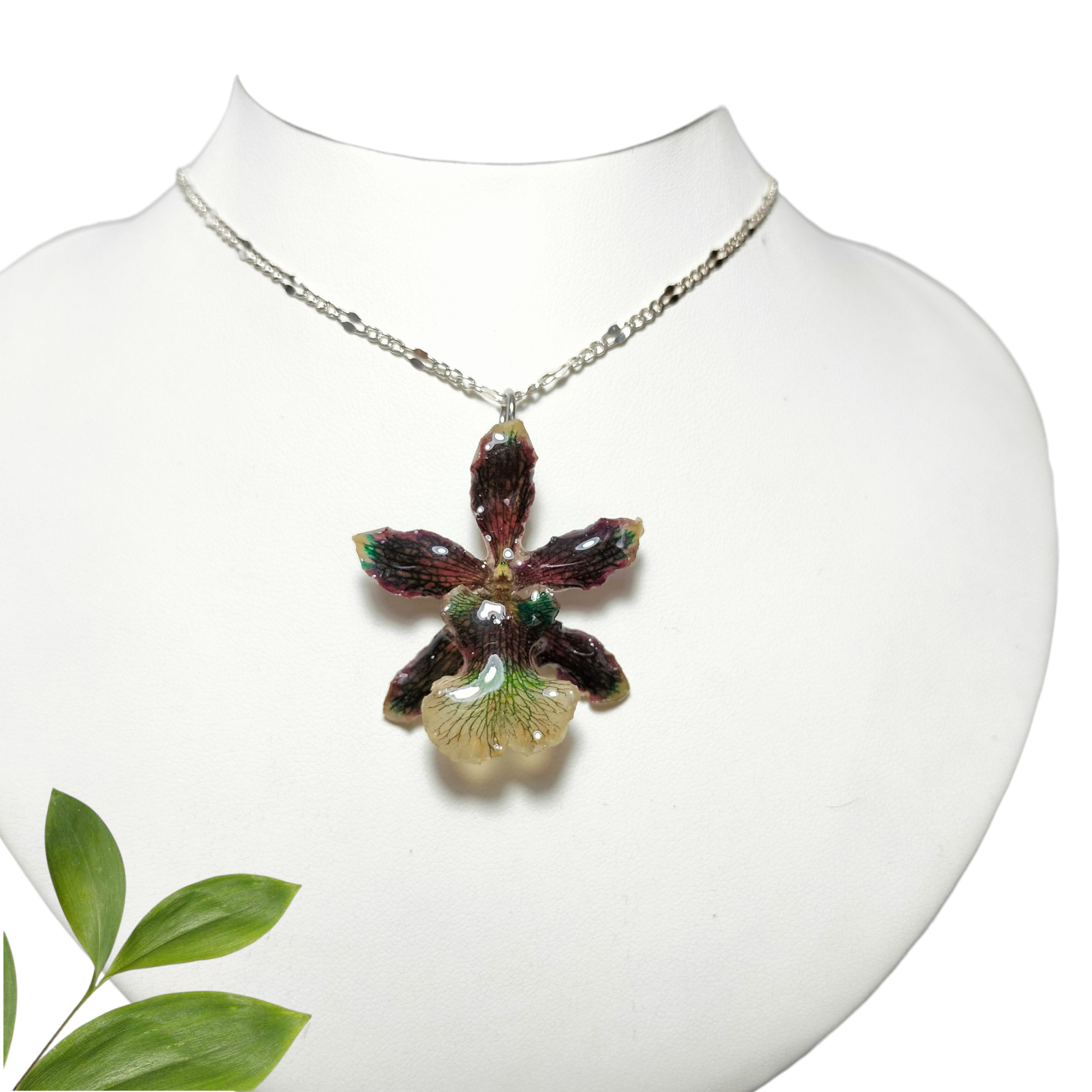 Orquídea Chocolate con Cadena de Plata