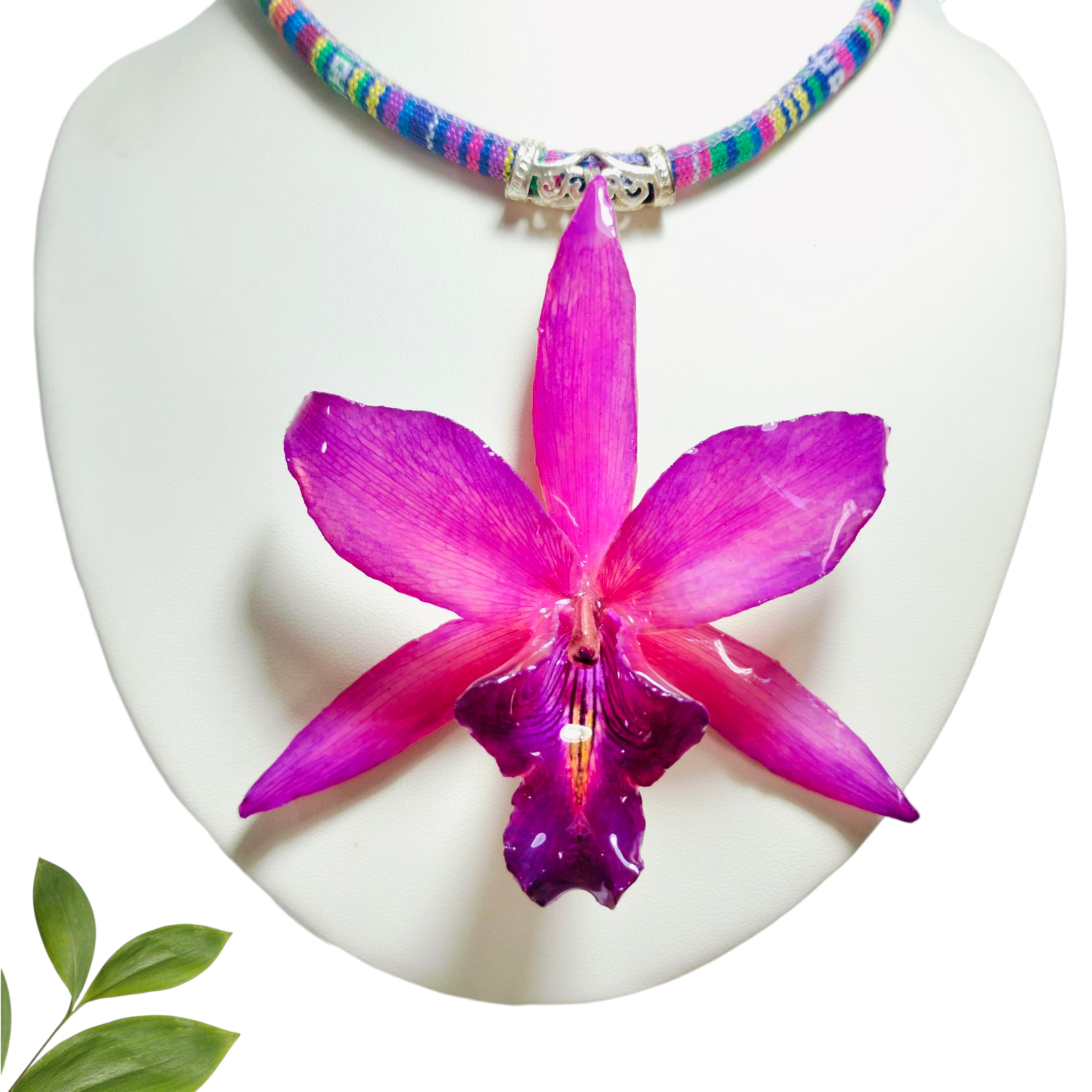 Laelia Rosa con Collar Multicolor