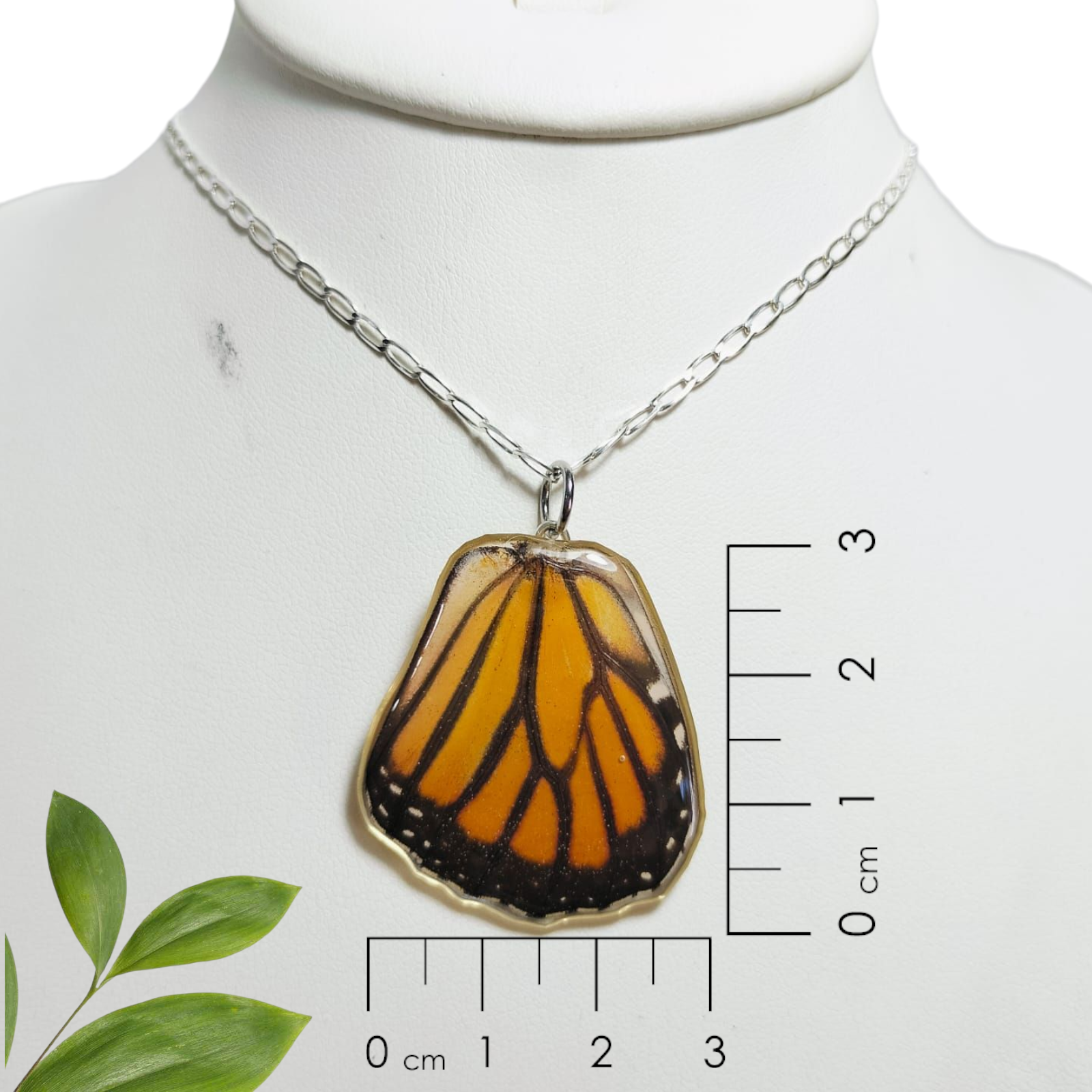Ala de Mariposa Monarca con cadena de plata