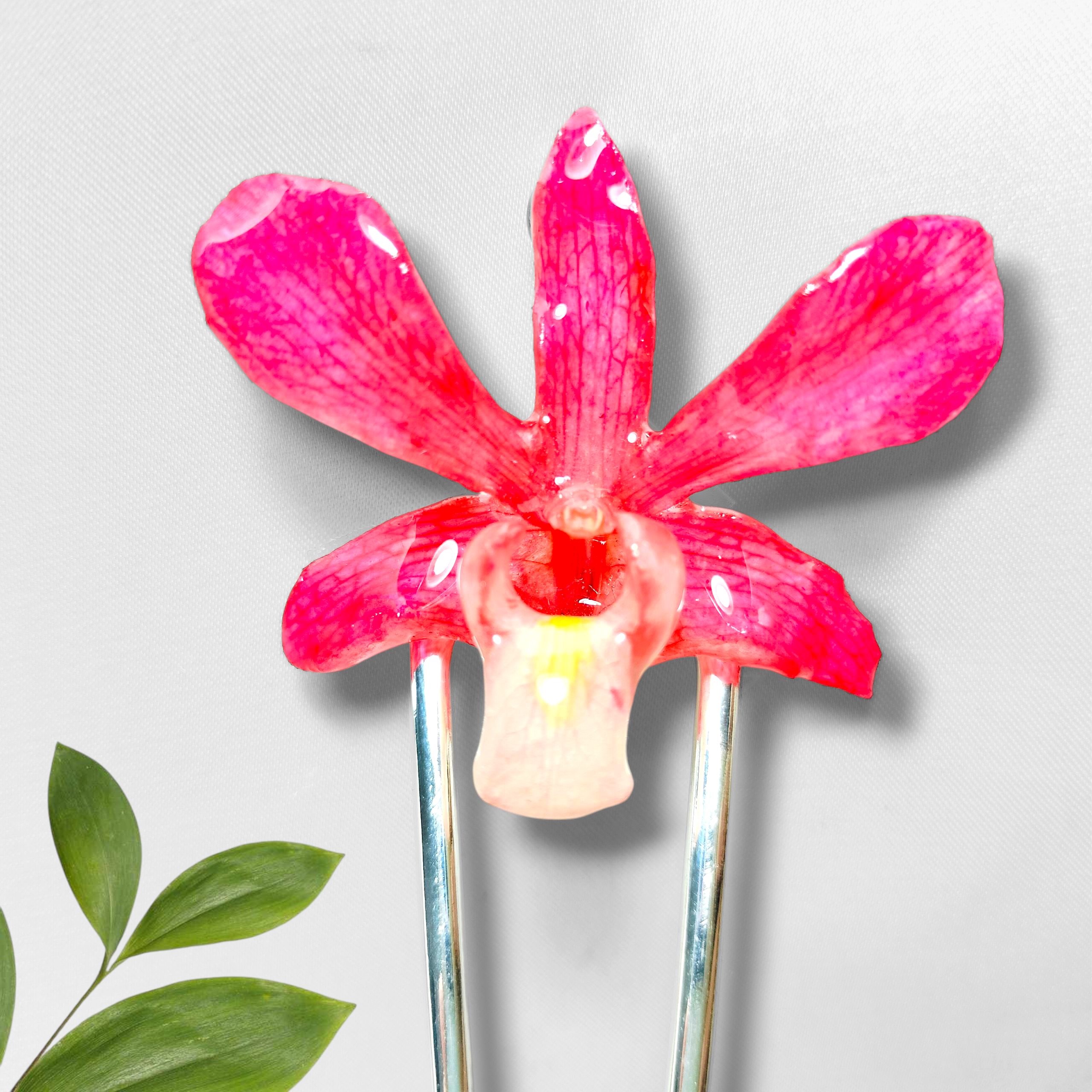 Orquilla de Orquídea Rosa