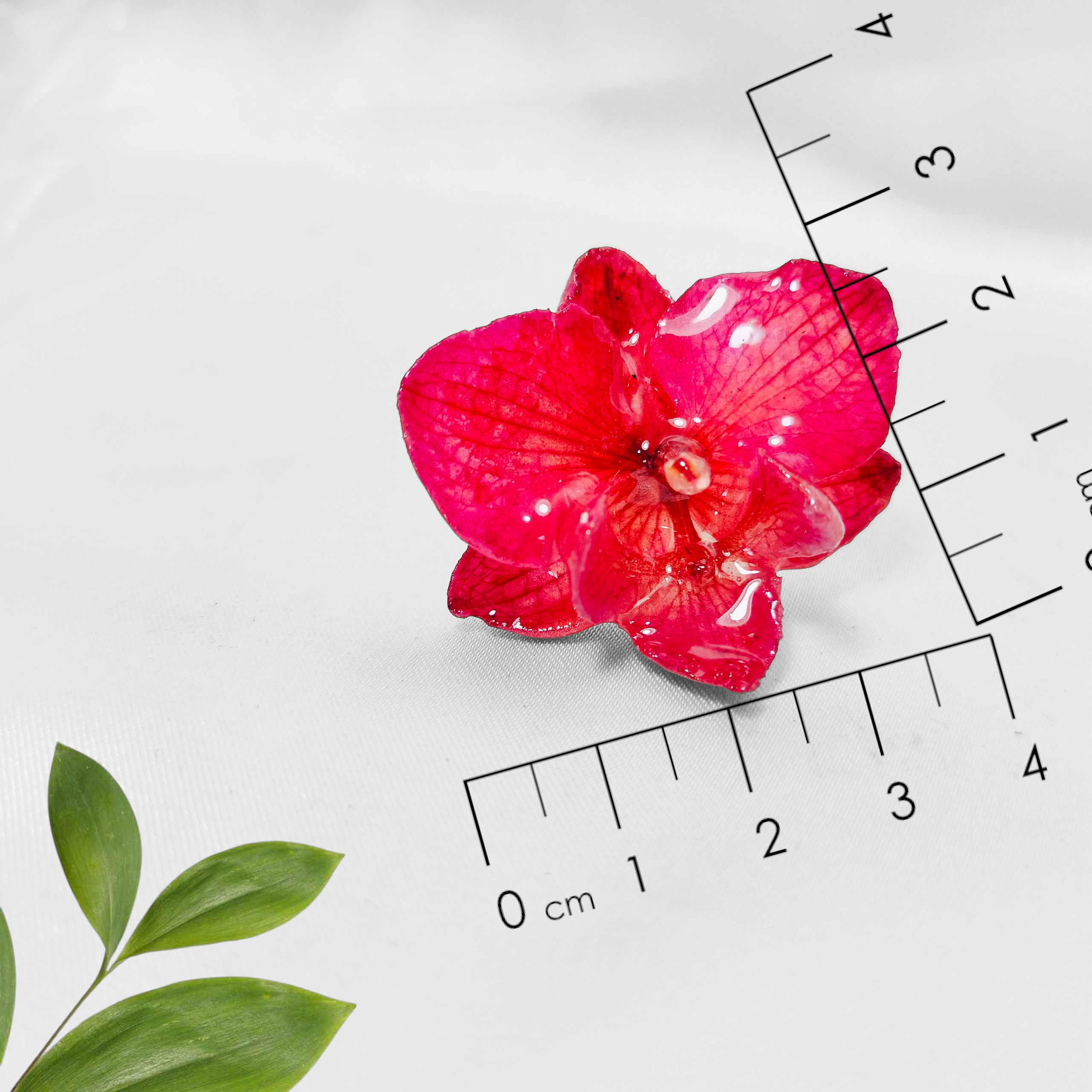 Anillo de Orquidea Fucsia