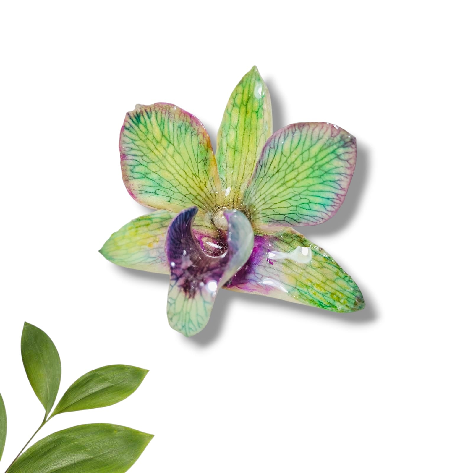 Anillo de Orquidea Verde