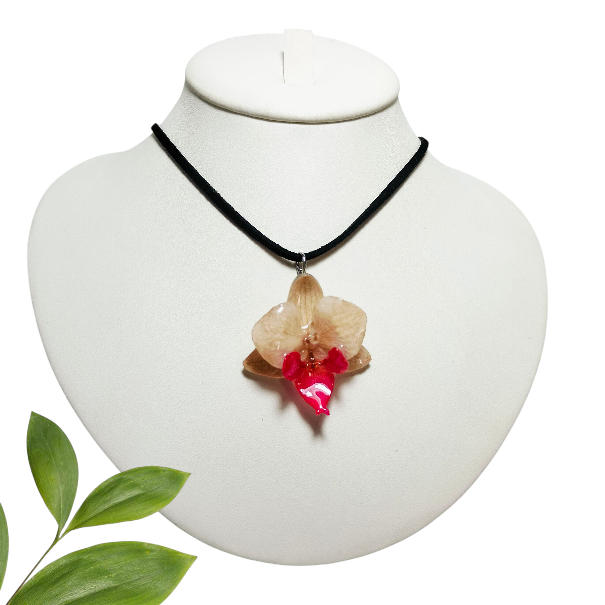 Orquídea Blanca y Rosa