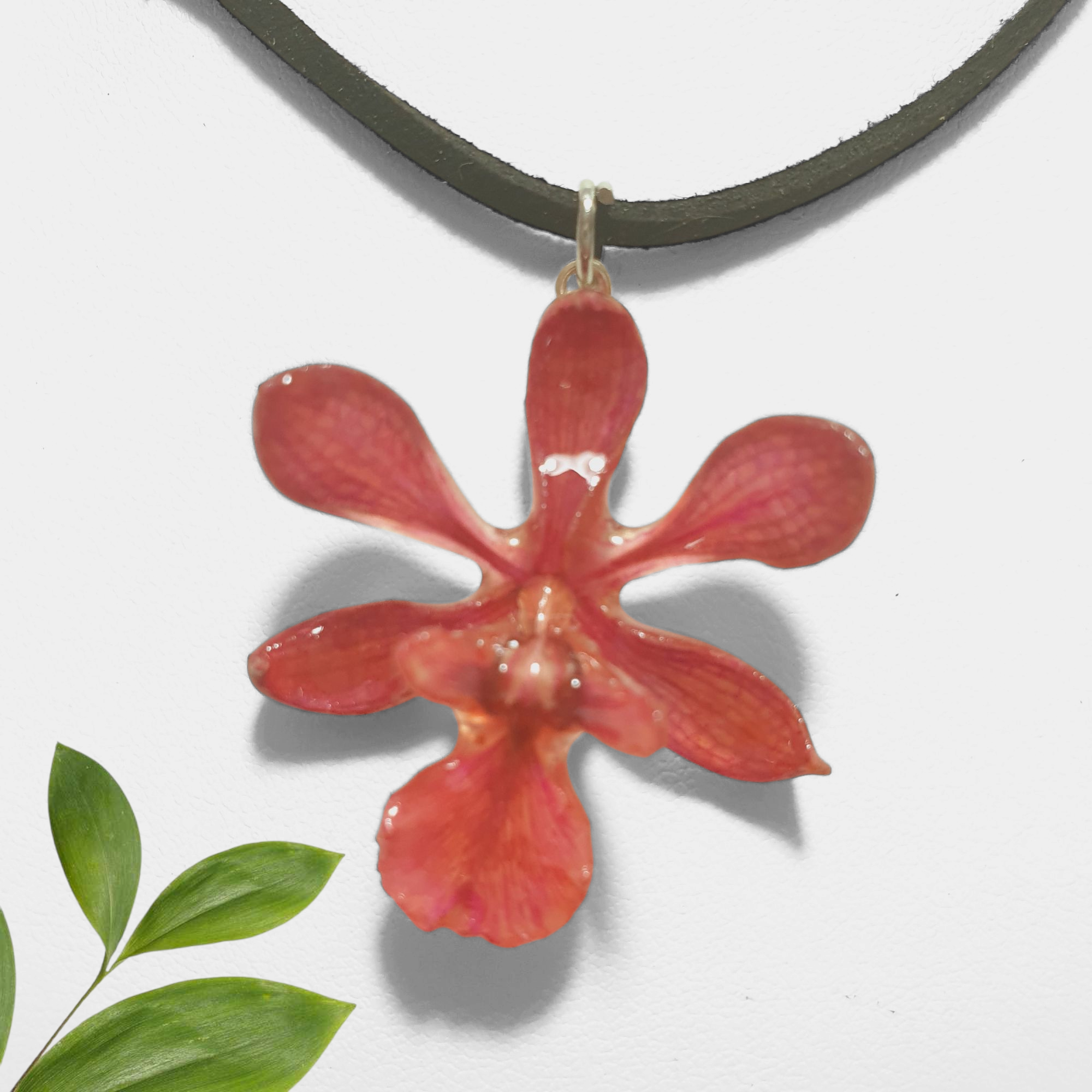 Juego de Orquídea rosa con Collar de Gamuza