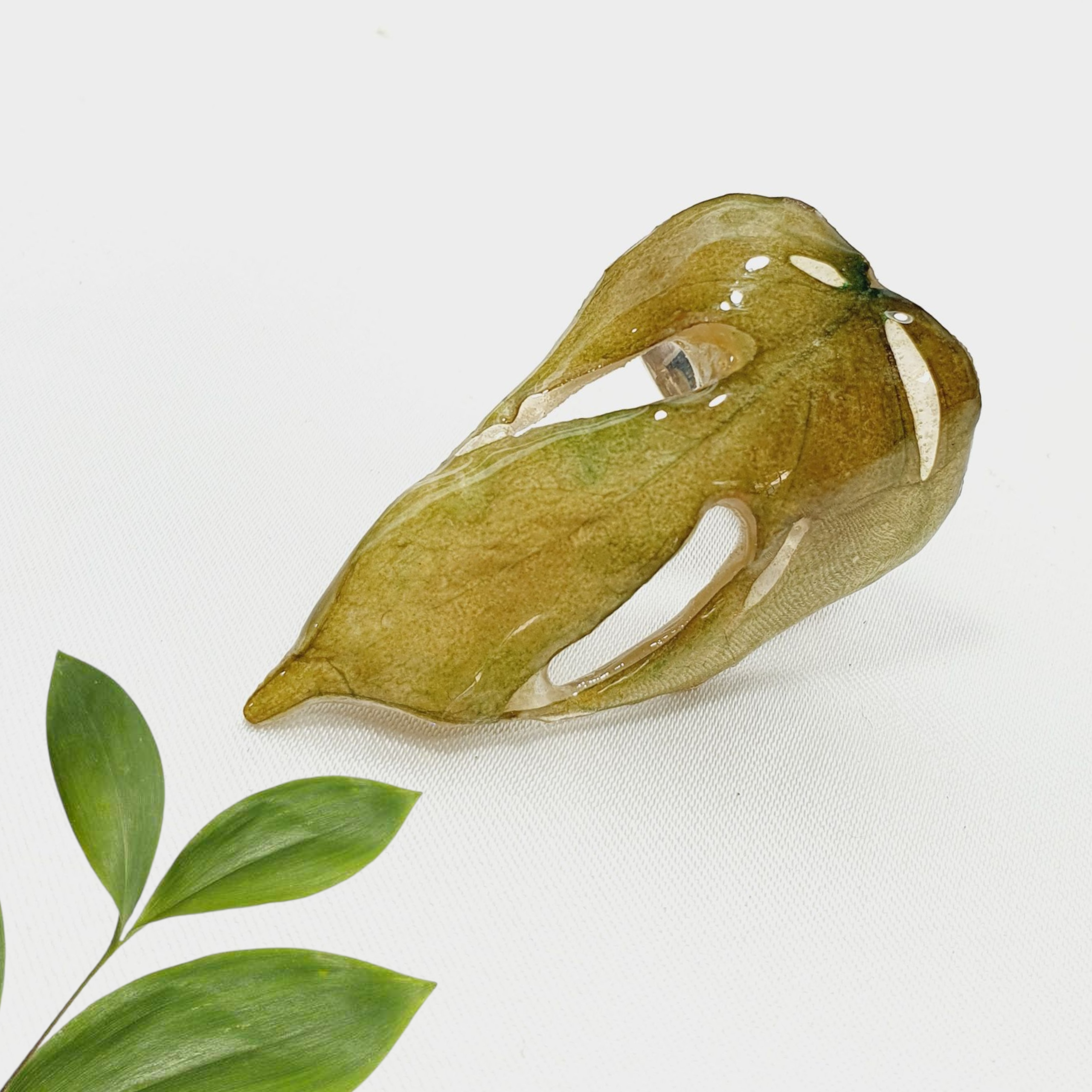 Hoja natural de monstera encapsulada con anillo de plata ajustable