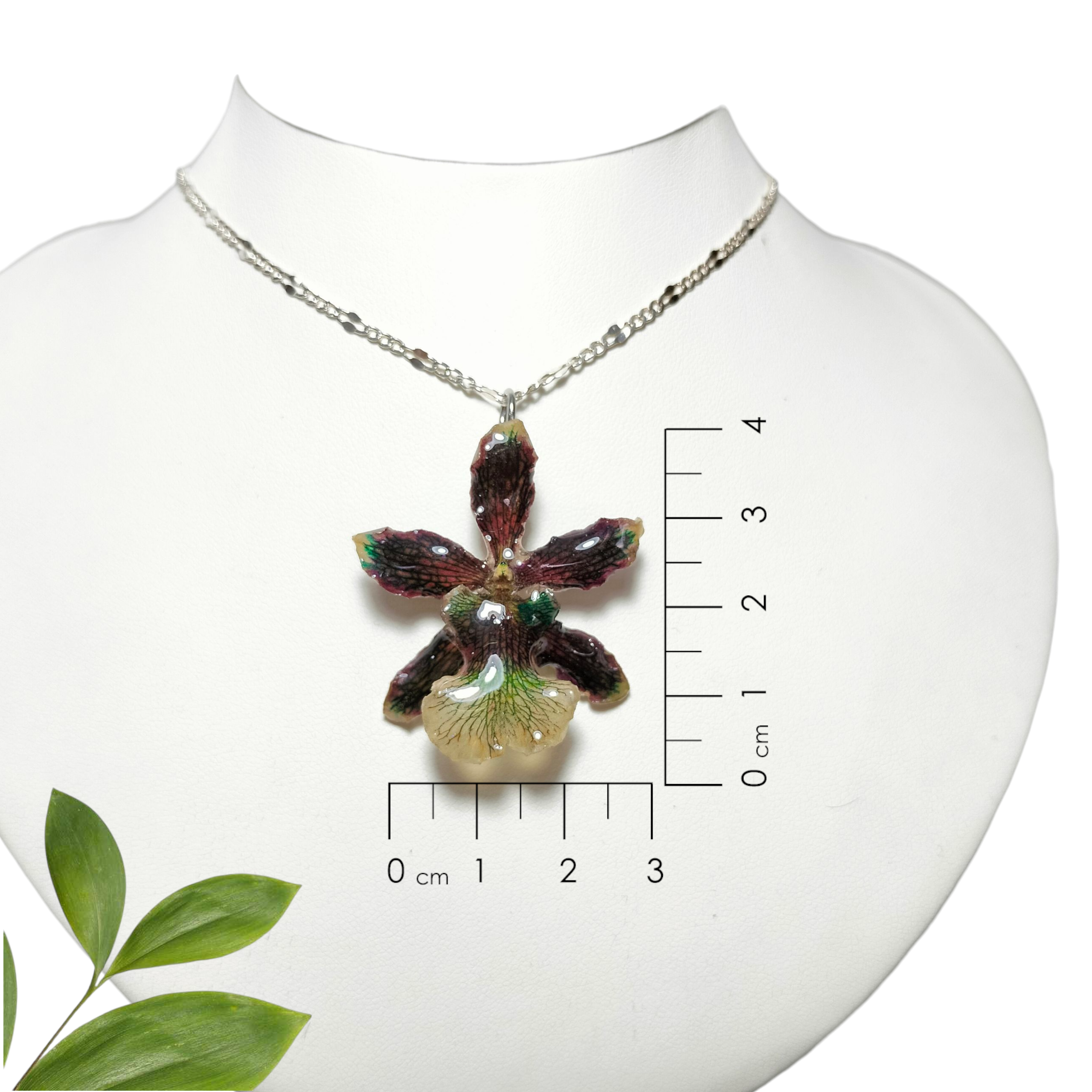 Orquídea Chocolate con Cadena de Plata
