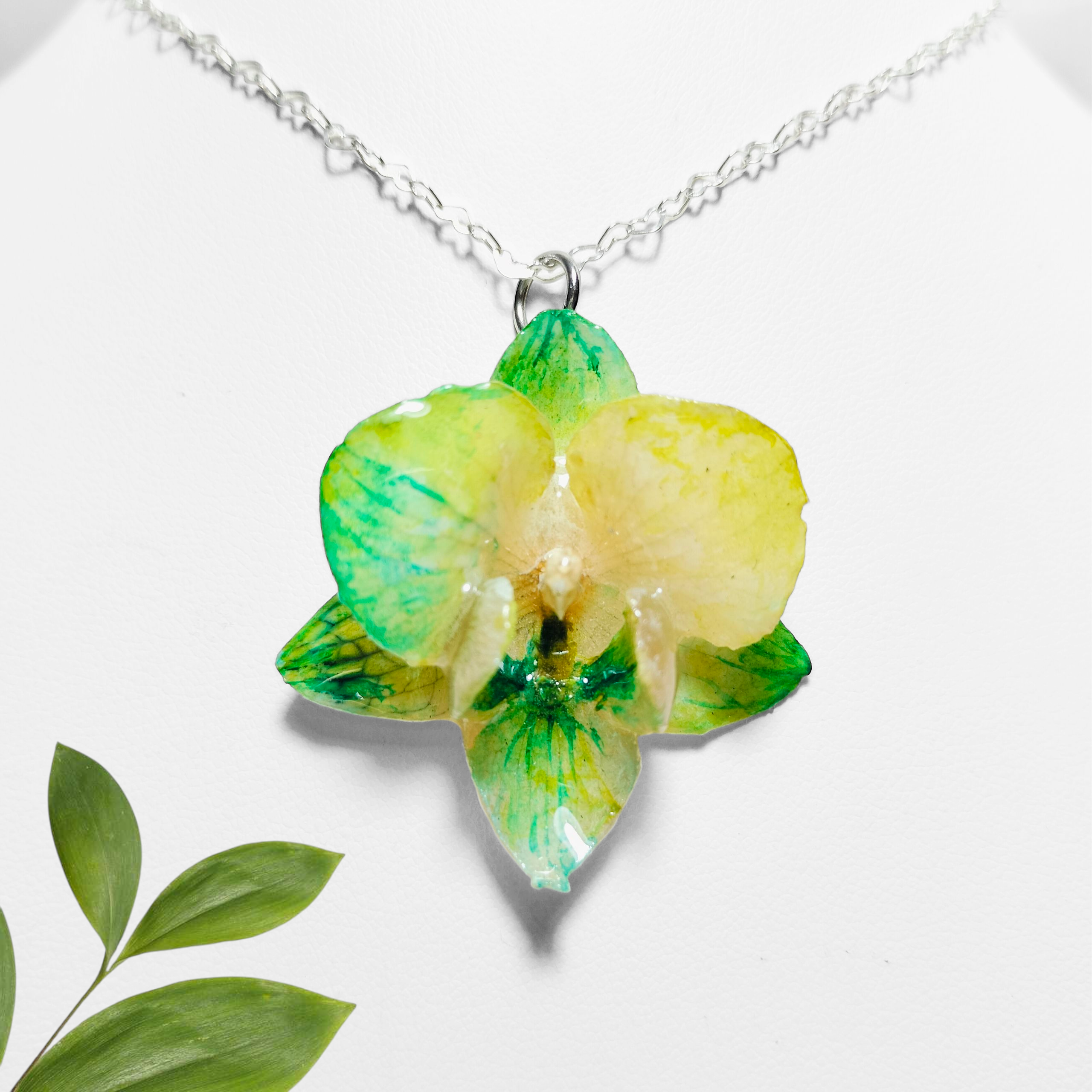 Orquídea Verde