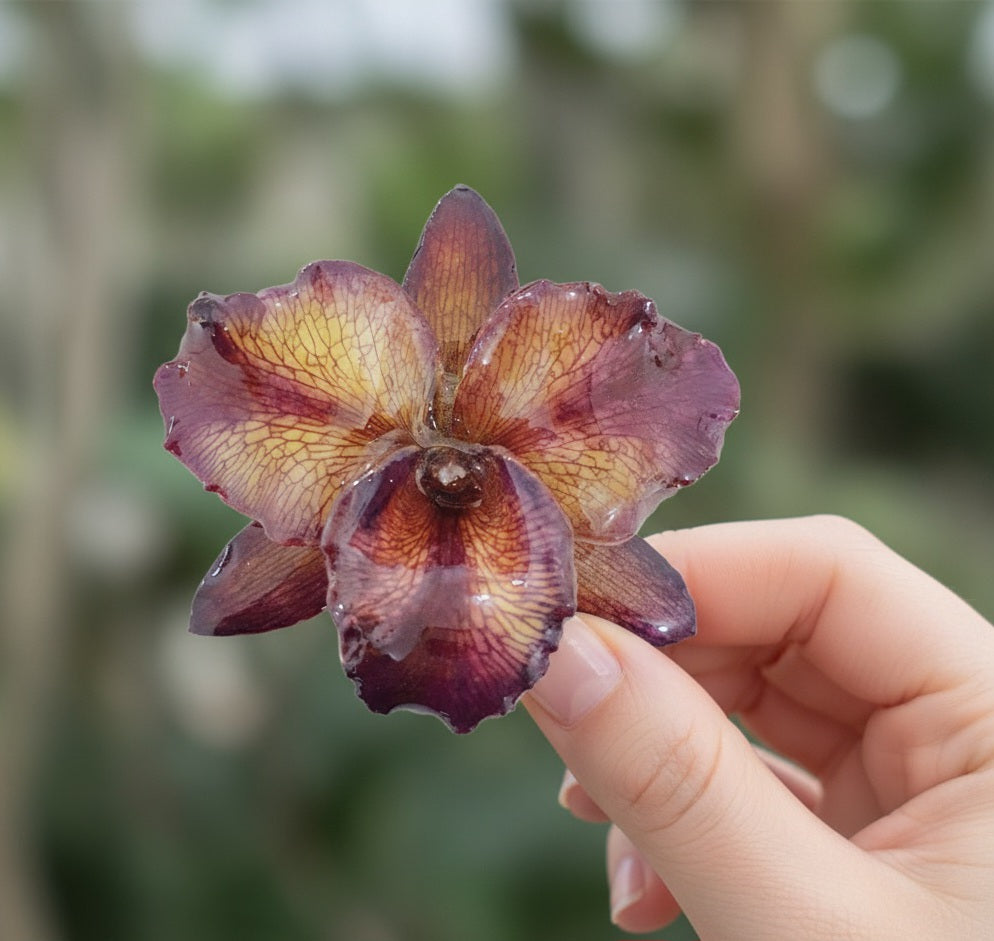 ANILLO orquídea cattleya