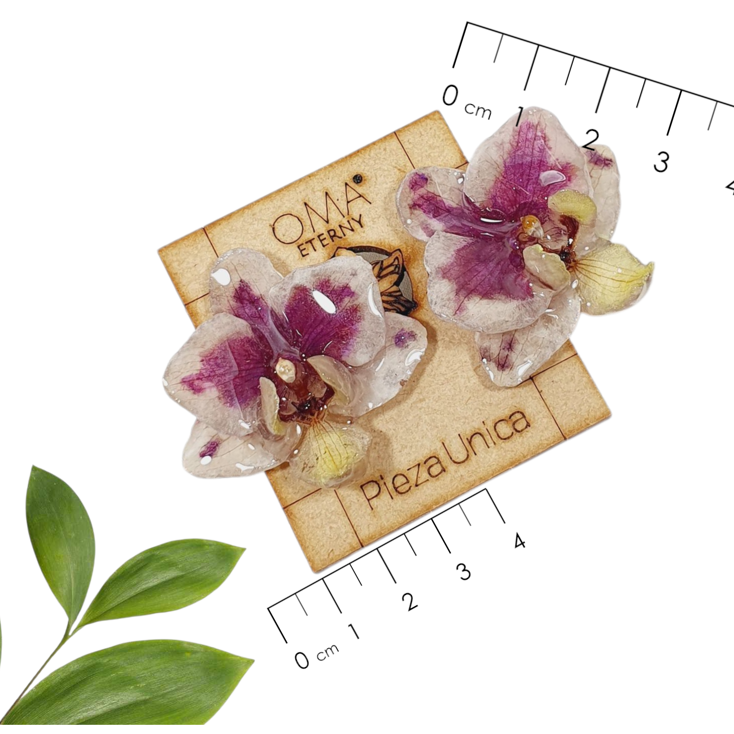 Aretes de Orquídeas phalaenopsis vaquita