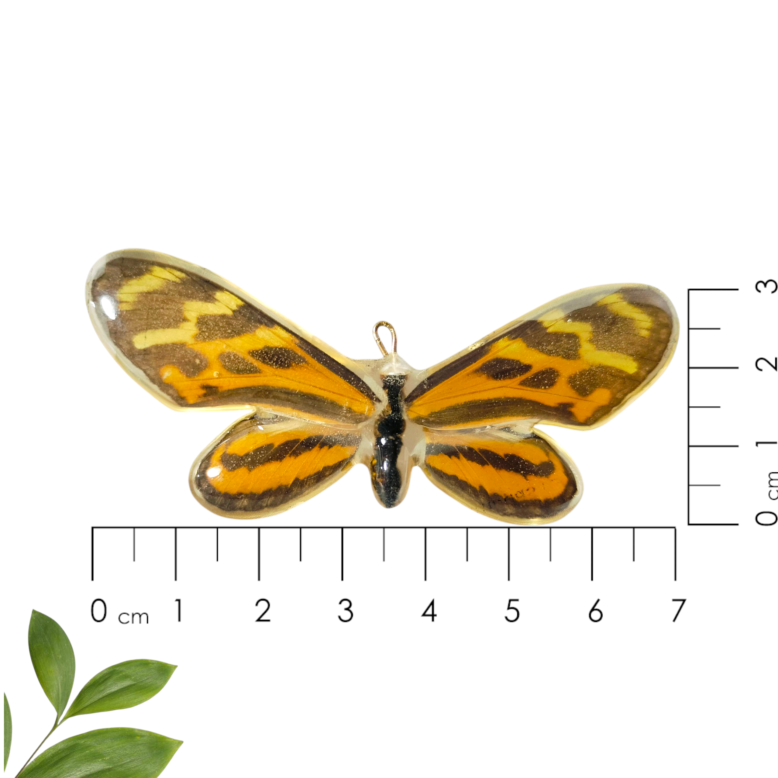 Anillo de Mariposa Silvestre