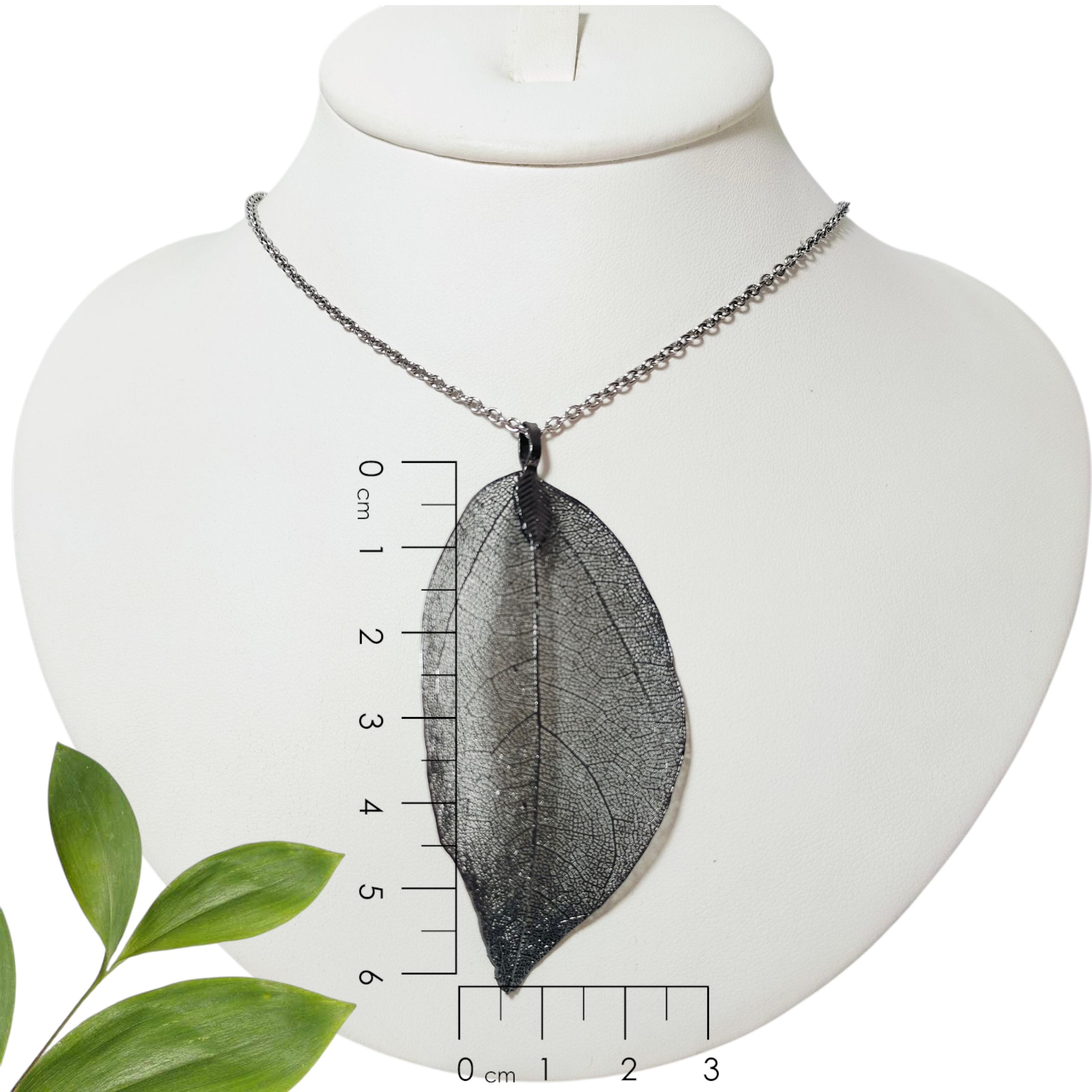 Esqueleto de Hoja Negra