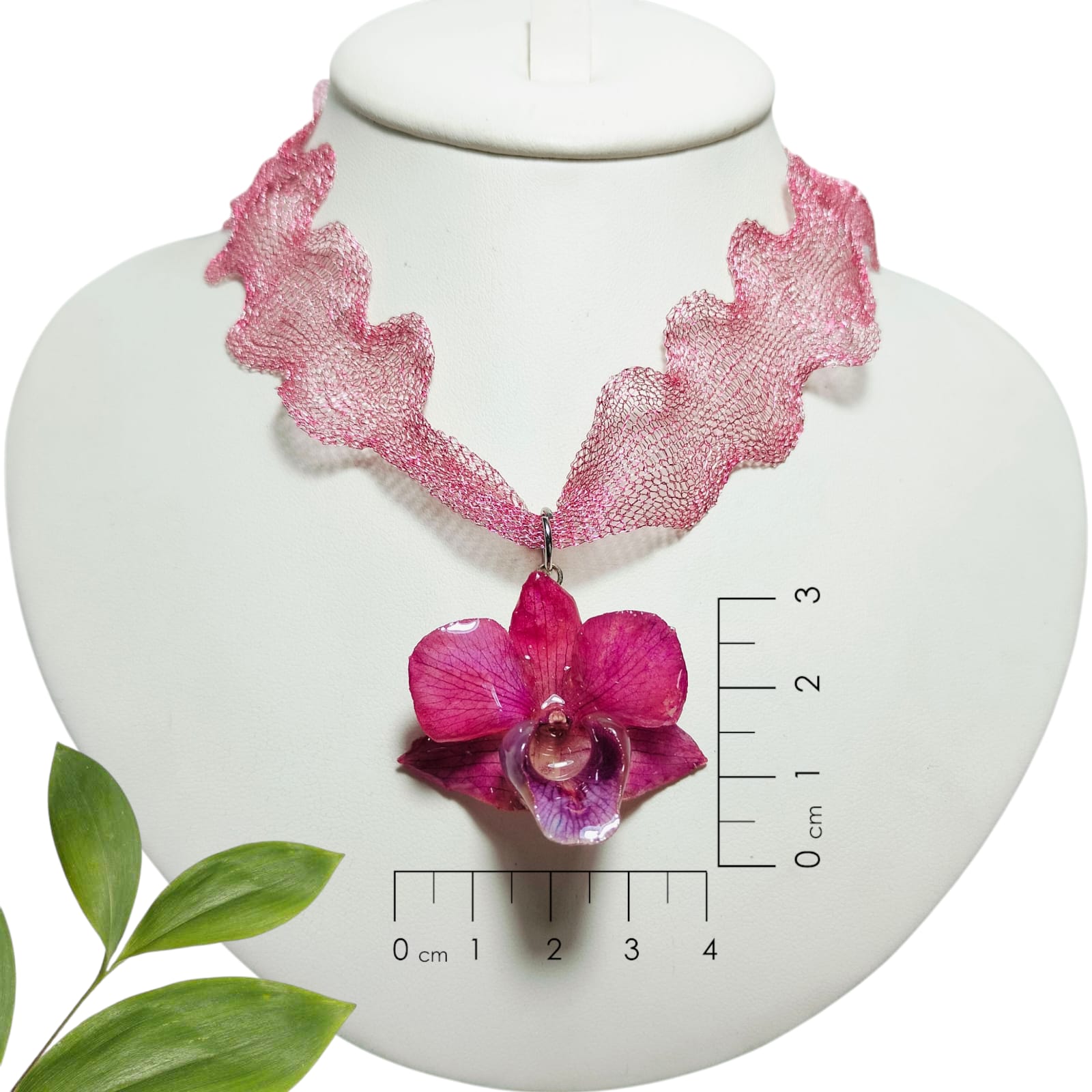 Dendrobium Rosa con collar Rosa