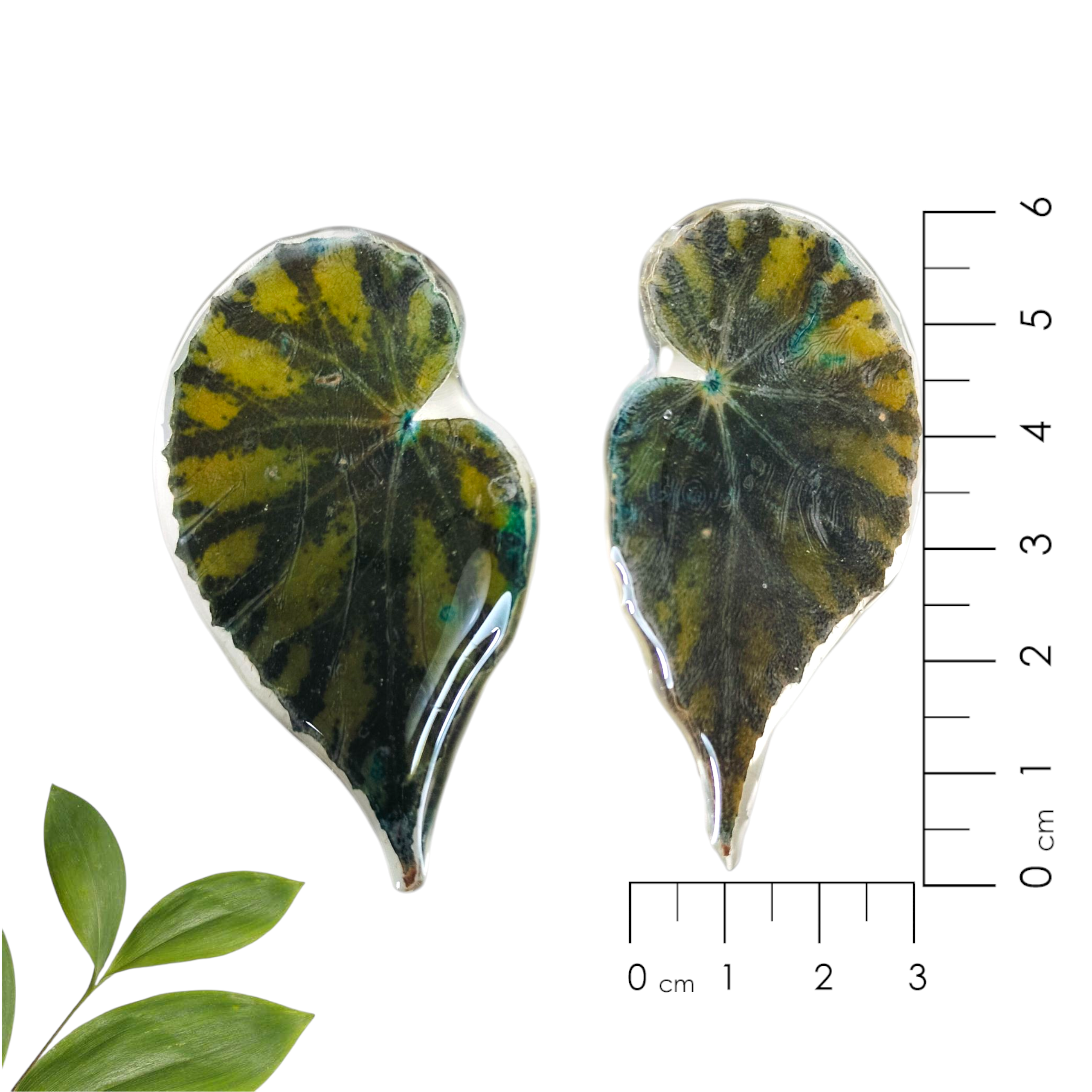 Aretes de Hojas Verdes