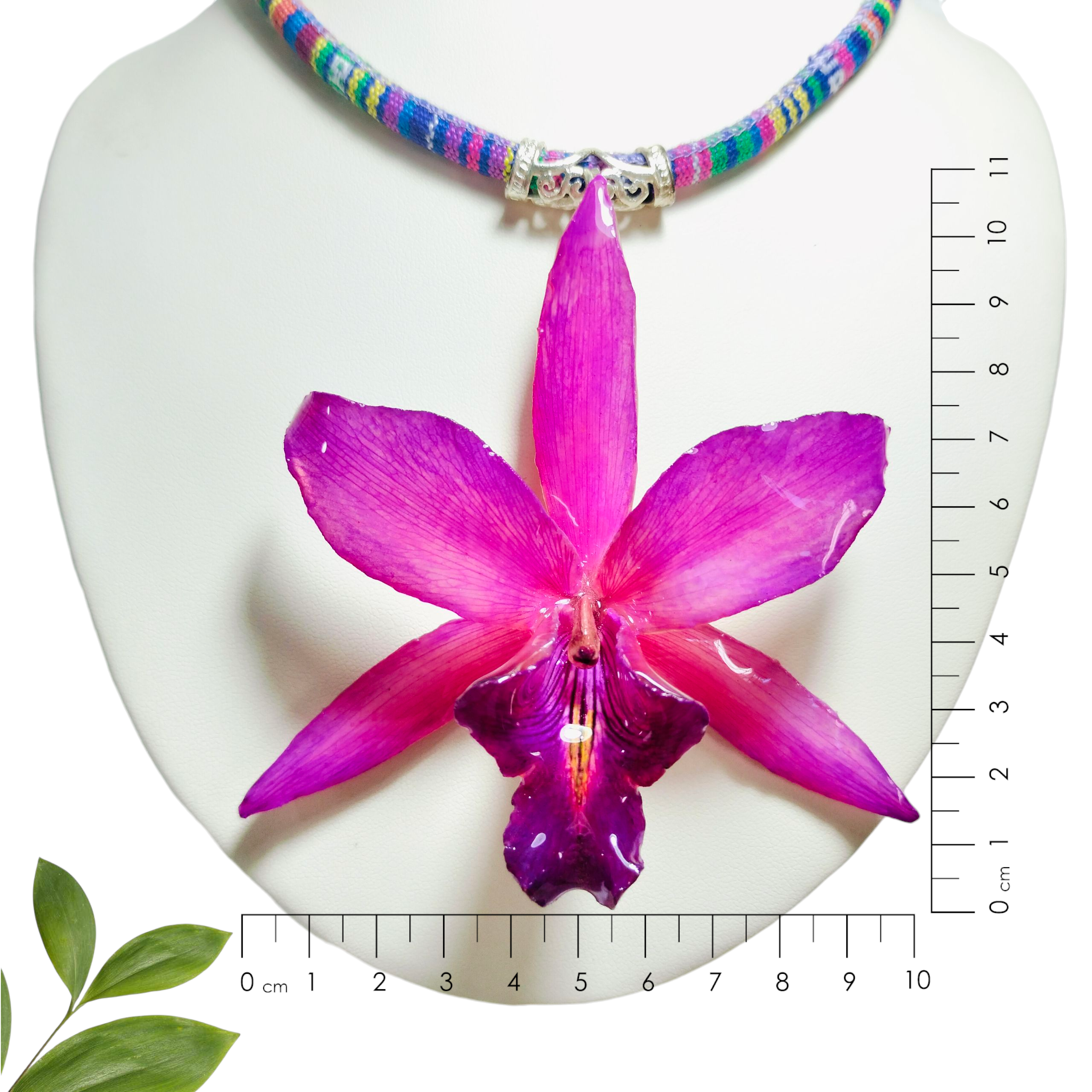 Laelia Rosa con Collar Multicolor