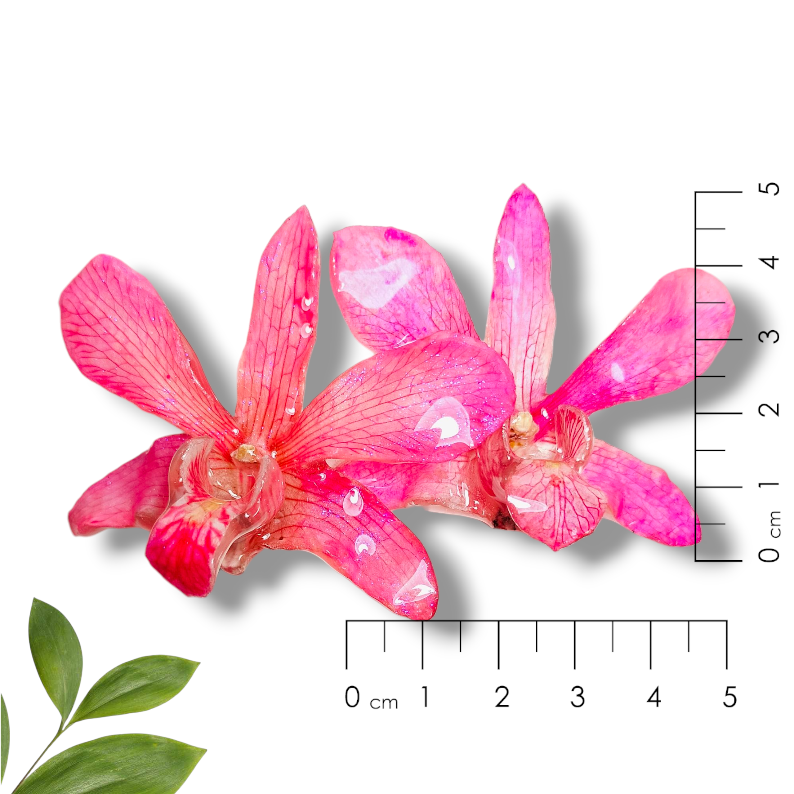 Aretes de Orquídeas Rosas