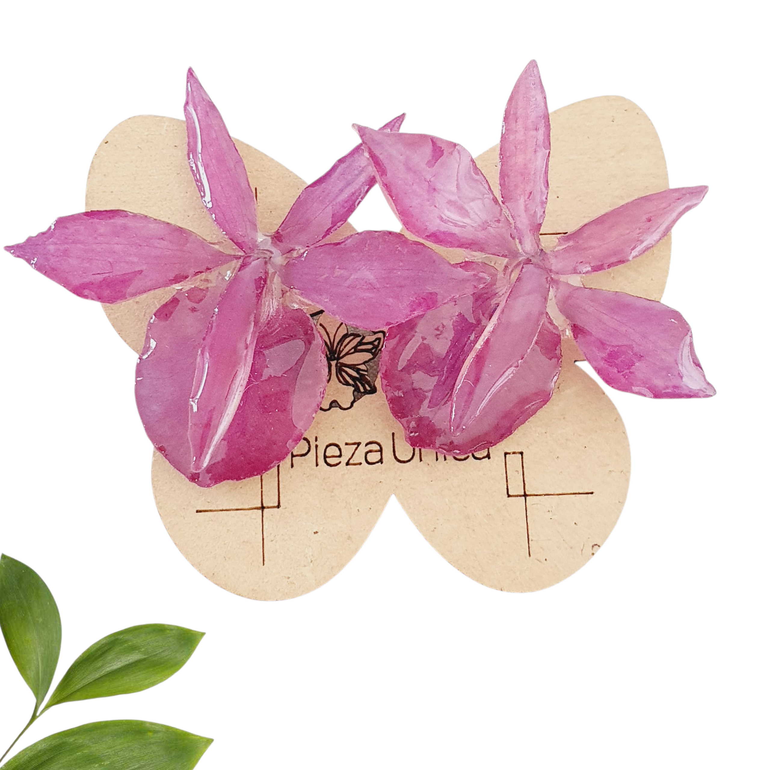 Aretes de orquídea barkerya