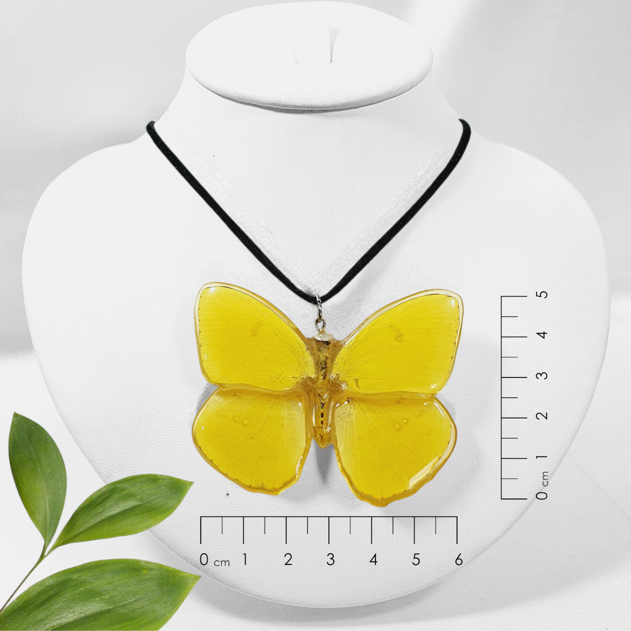 Mariposa phoebis amarilla con collar de gamuza