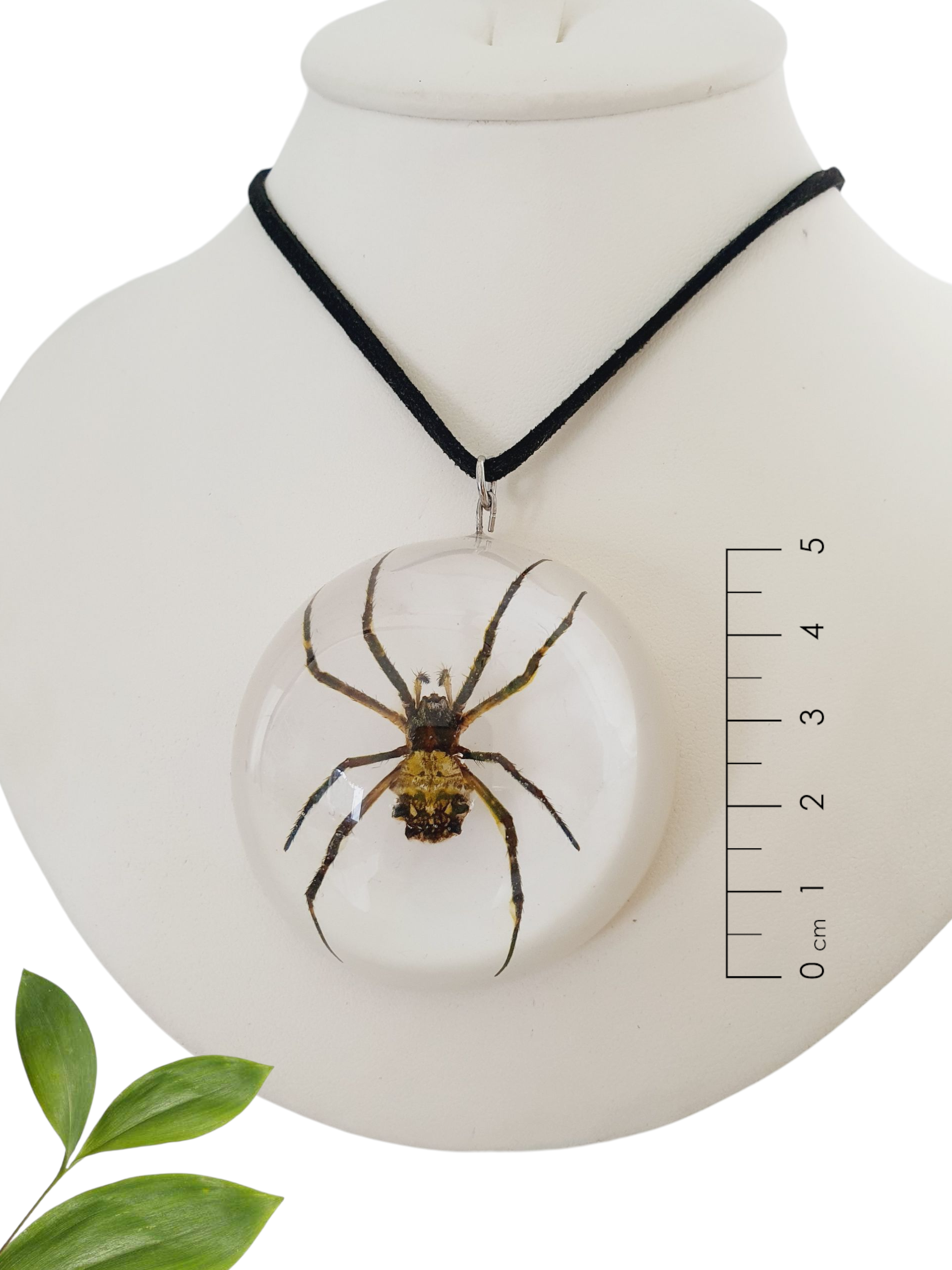 Collar de araña