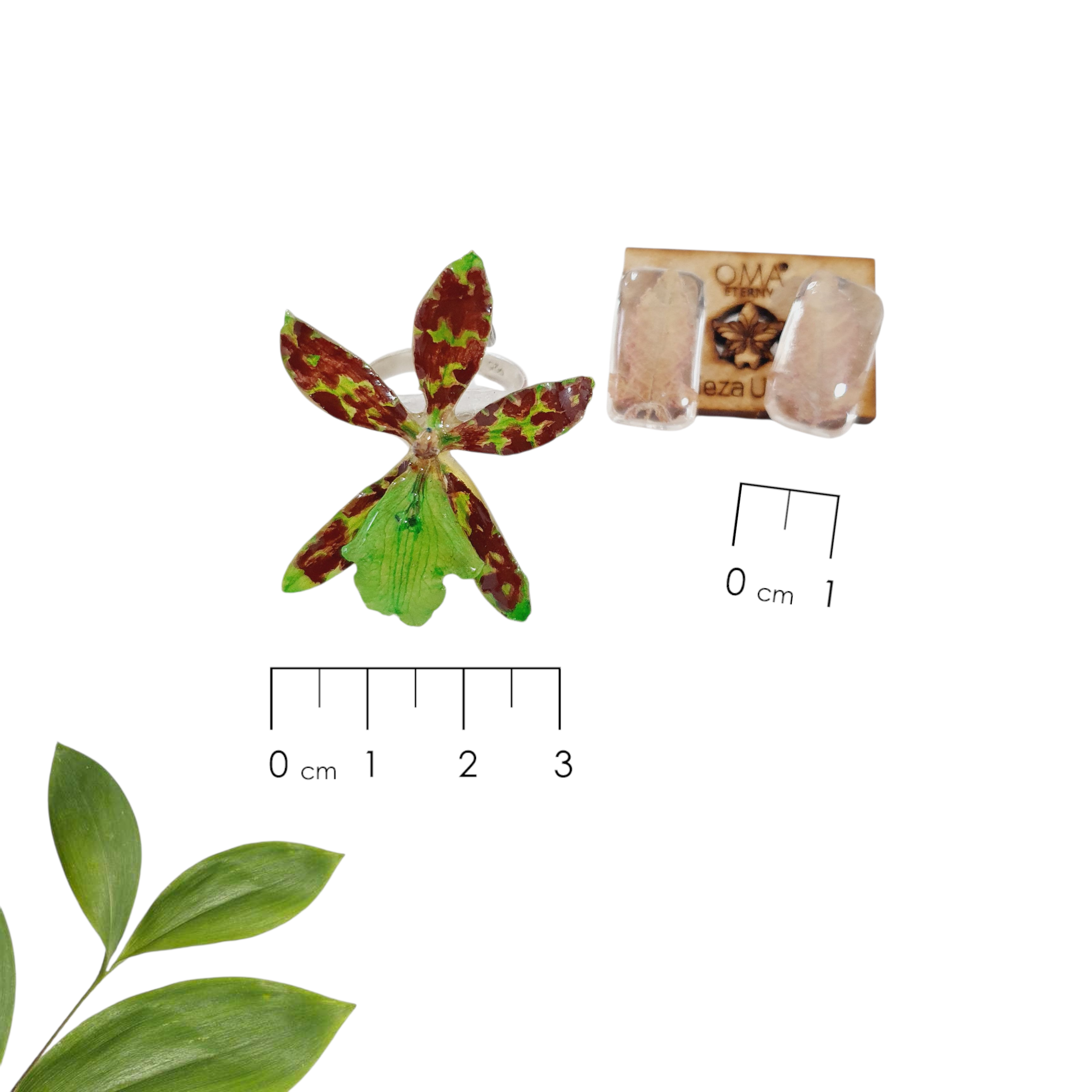 ANILLO orquídea oncidium verde